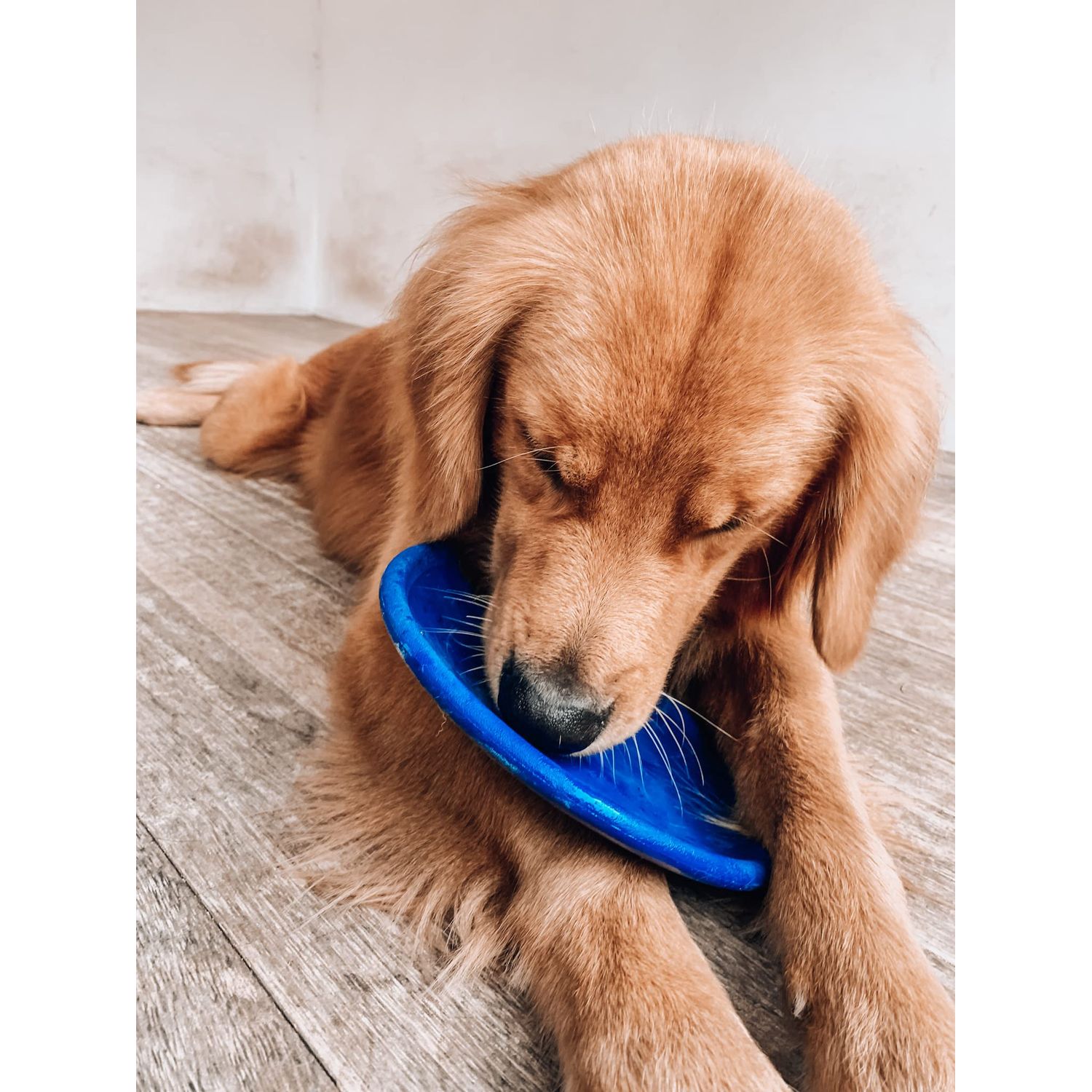 SuperChewy Tough Flying Disc Toy Strong Natural Rubber | Great Dog Fetch Toy | Rubber Disc Toy for Dogs | Ultra Durable Chew Toy for Aggressive Chewers