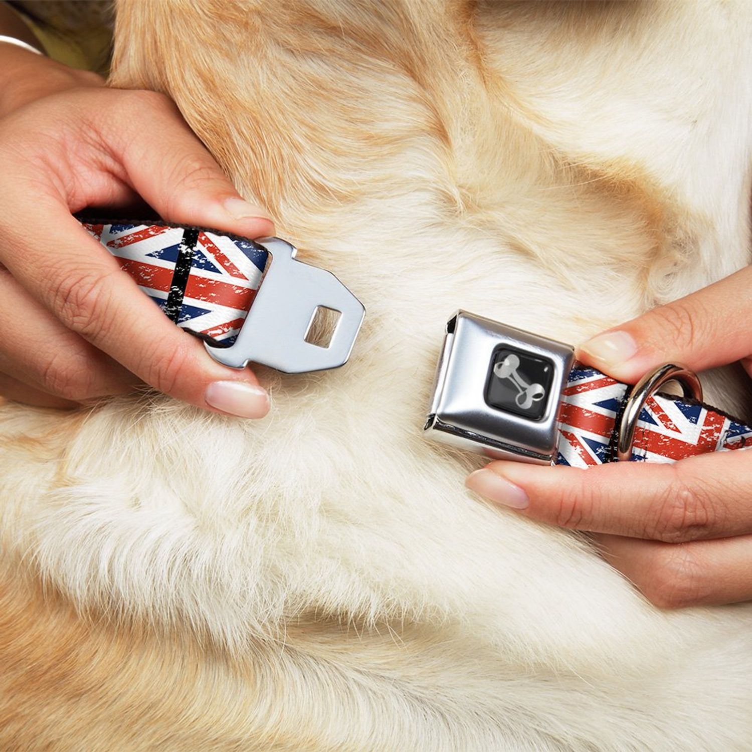 Buckle-Down Seatbelt Buckle Dog Collar - United Kingdom Flags Weathered - 1.5" Wide - Fits 13-18" Neck - Small