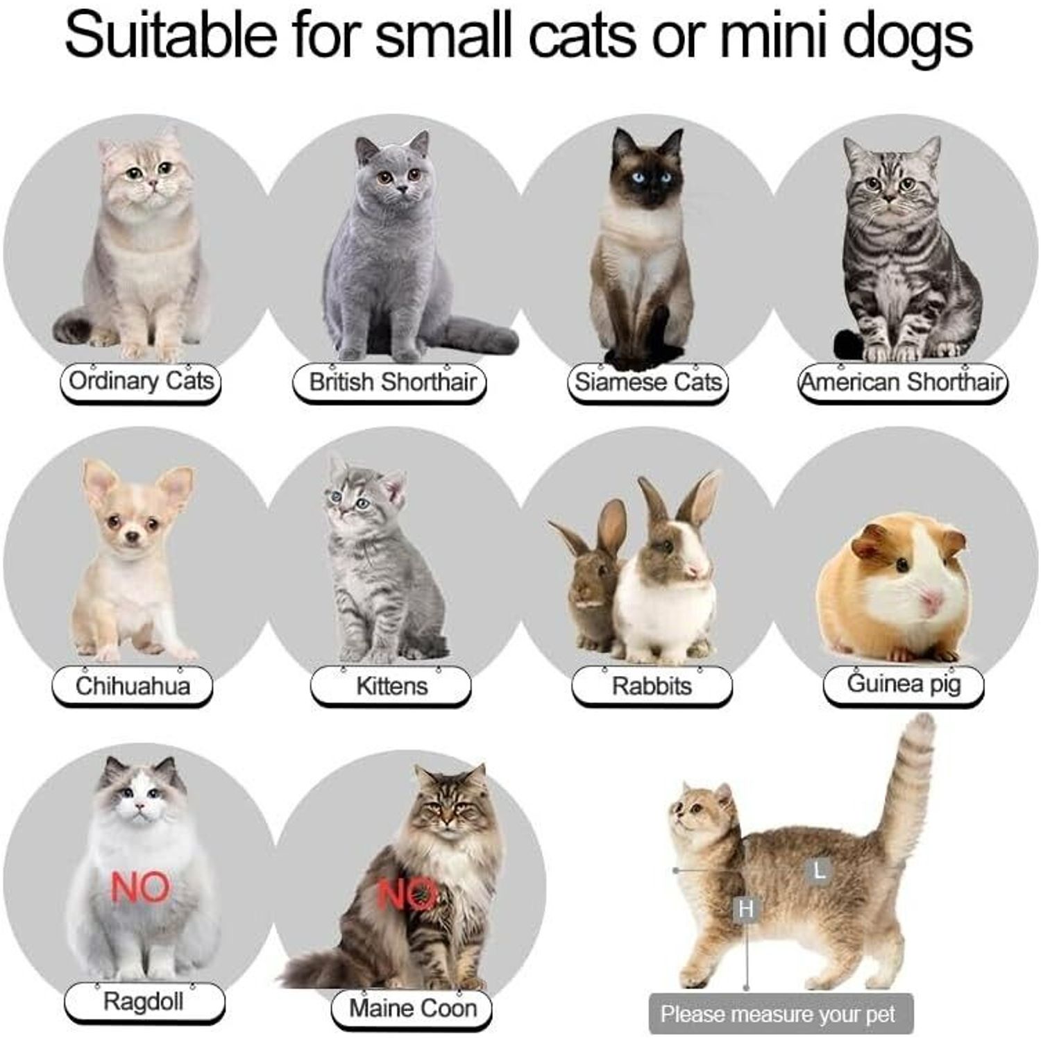 Collapsible Pet Carrier Cat Kitten Puppy Travel Carrier Plastic Crate 17"x 14"