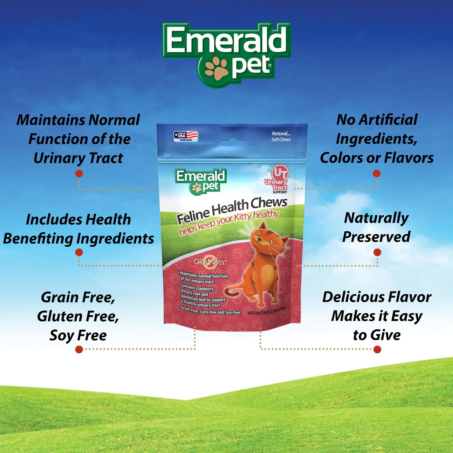 Emerald Pet Feline Health Chews UT Support — Natural Grain Free Urinary Tract Health Cat Chews — Cat Urinary Supplements with Cranberry, Chicory Root, and Dandelion Leaf Extract — Made in USA, 2.5 oz