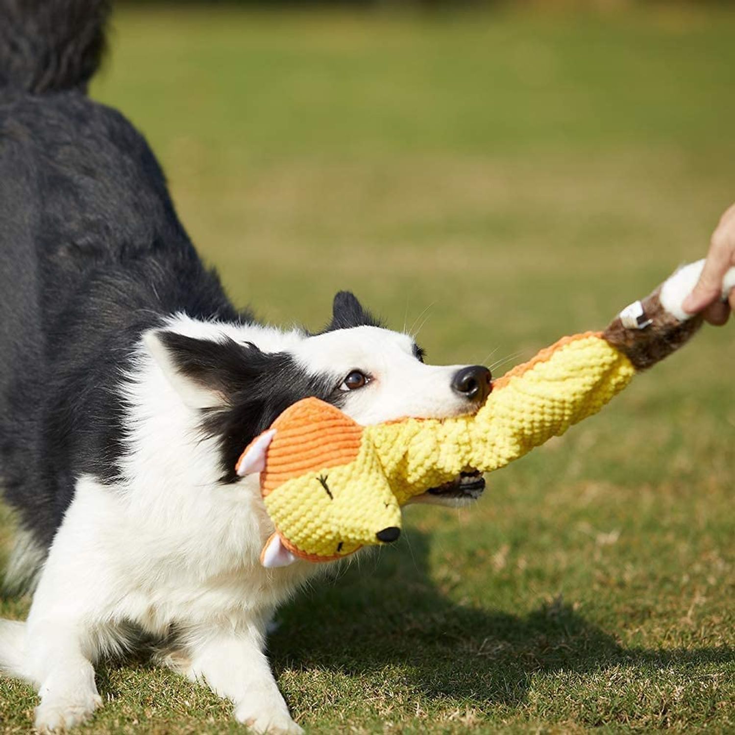 ONTWOPETS Dog Toy Plush Durable Small Dog Toys Low Stuffing Interactive Dog Plush Toys W/Squeaker Puppy Chew Toys Reduces Boredom (Medium, Fox)