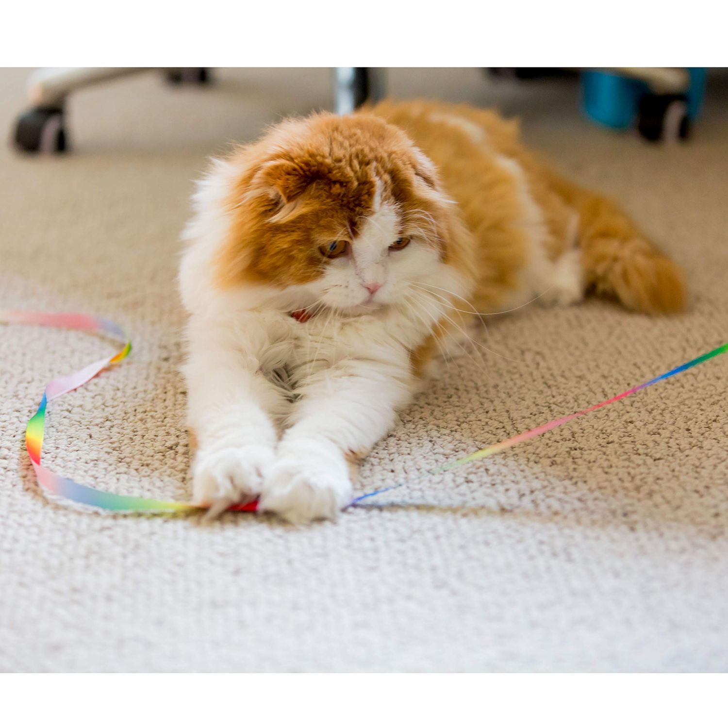 Youngever 15 Cat Toys Kitten Toys Assortments, Cat Crinkle Play Mat, Cat Teaser Wand Interactive Toys Cat Springs, Crinkle Balls for Cat, Puppy, Kitty, Kitten