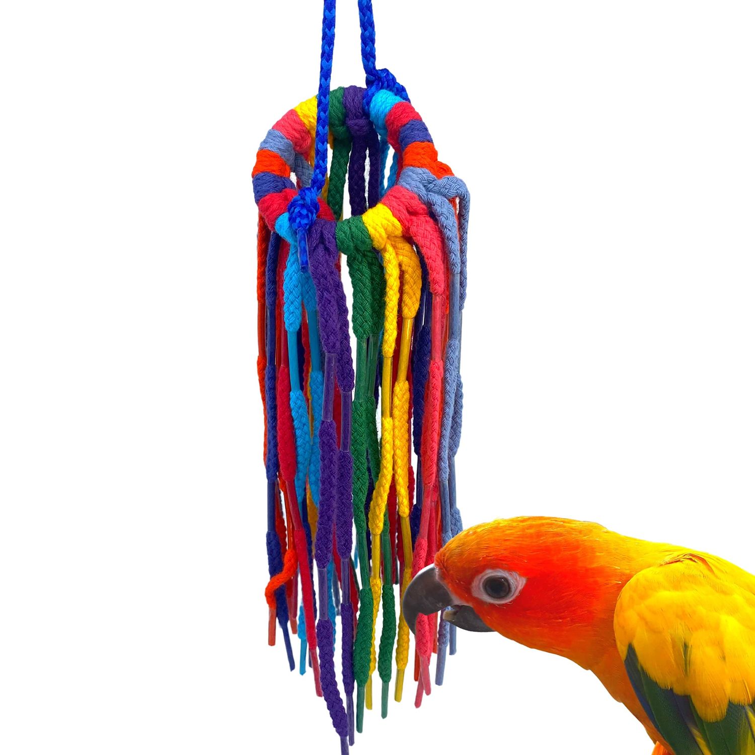 Bonka Bird Toys 51214 Small Aglet Heaven, 11" Hanging Bird Toy, Soft Colorful Cotton Shoelace Ring with Plastic Aglets, Lightweight and Easy to Play with, Safe for Parrots, Parakeets, Cockatiels