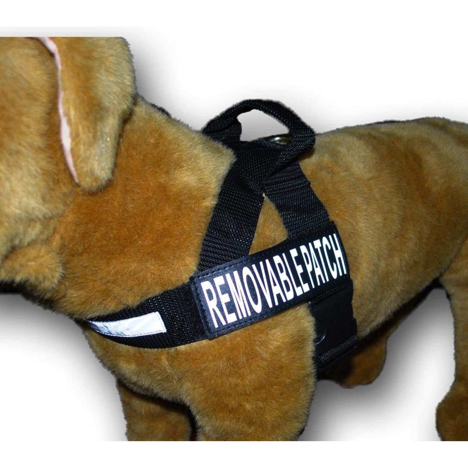 in Training Nylon Strap Service Dog Harness No Pull Guide Assistance Comes with 2 Reflective in Training Removable Patches. Please Measure Your Dog Before Ordering. (Medium Fits Girth 22-29")