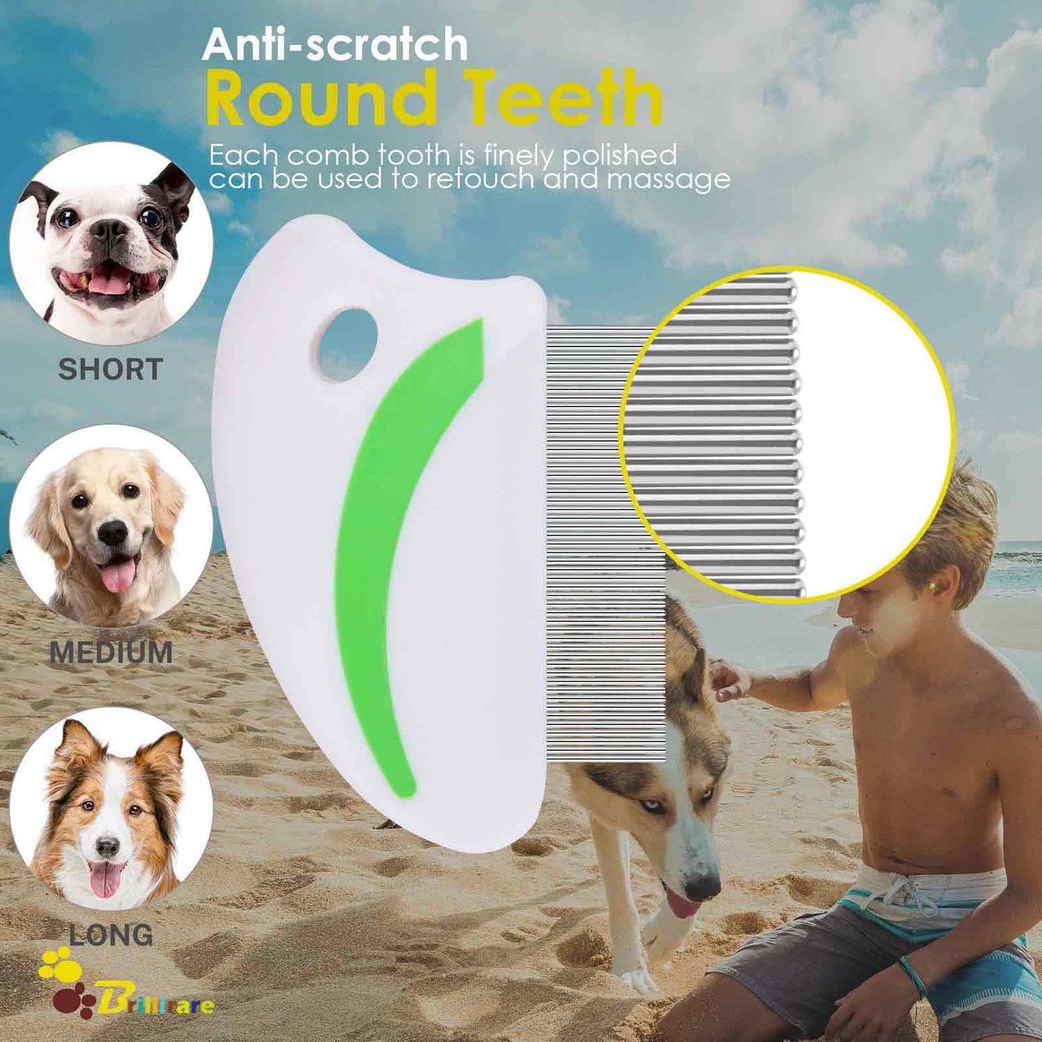 Brillirare 2 Pack Flea Lice Comb, Stainless Steel Dog Cat Grooming Combs with Rounded Teeth, Professional Pet Tear Stain Remover, Dematting Tool for Small, Medium & Large Pets