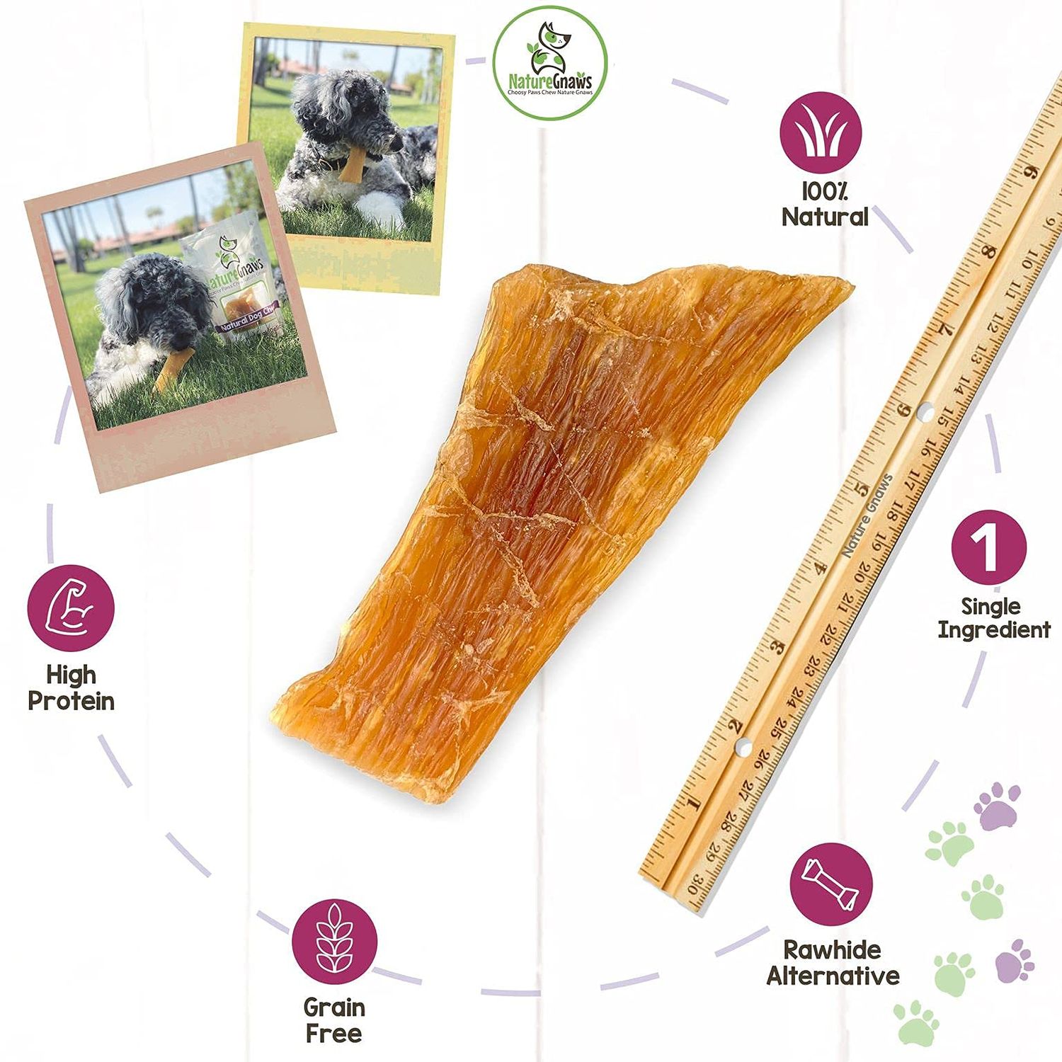 Nature Gnaws Paddywack Tendons for Dogs - Premium Natural Beef Dental Bones - Long Lasting Dog Chew Treats for Medium & Large Dogs - Rawhide Free 5-7 inch