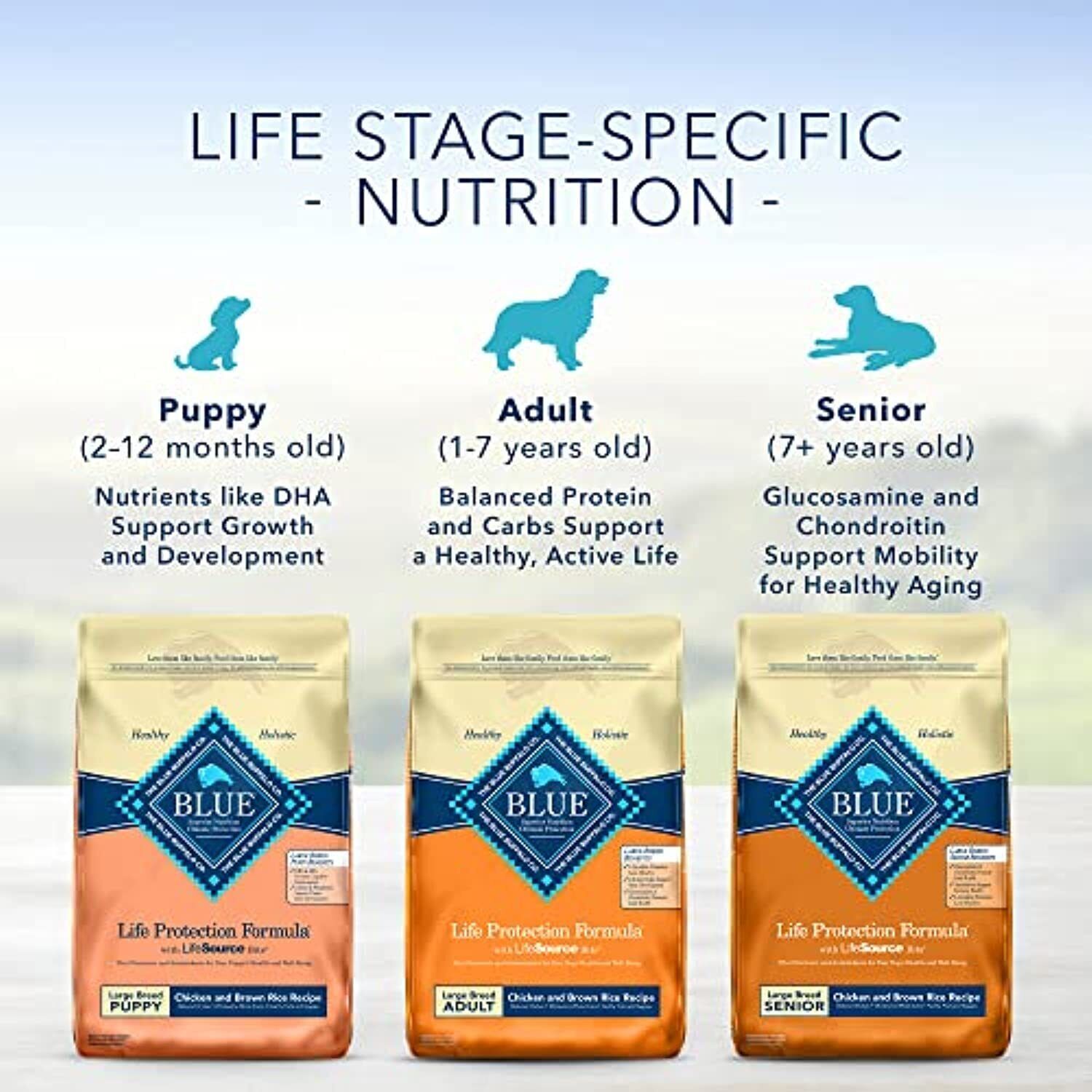 Blue Buffalo Life Protection Formula Natural Adult Large Breed Dry Dog Food,