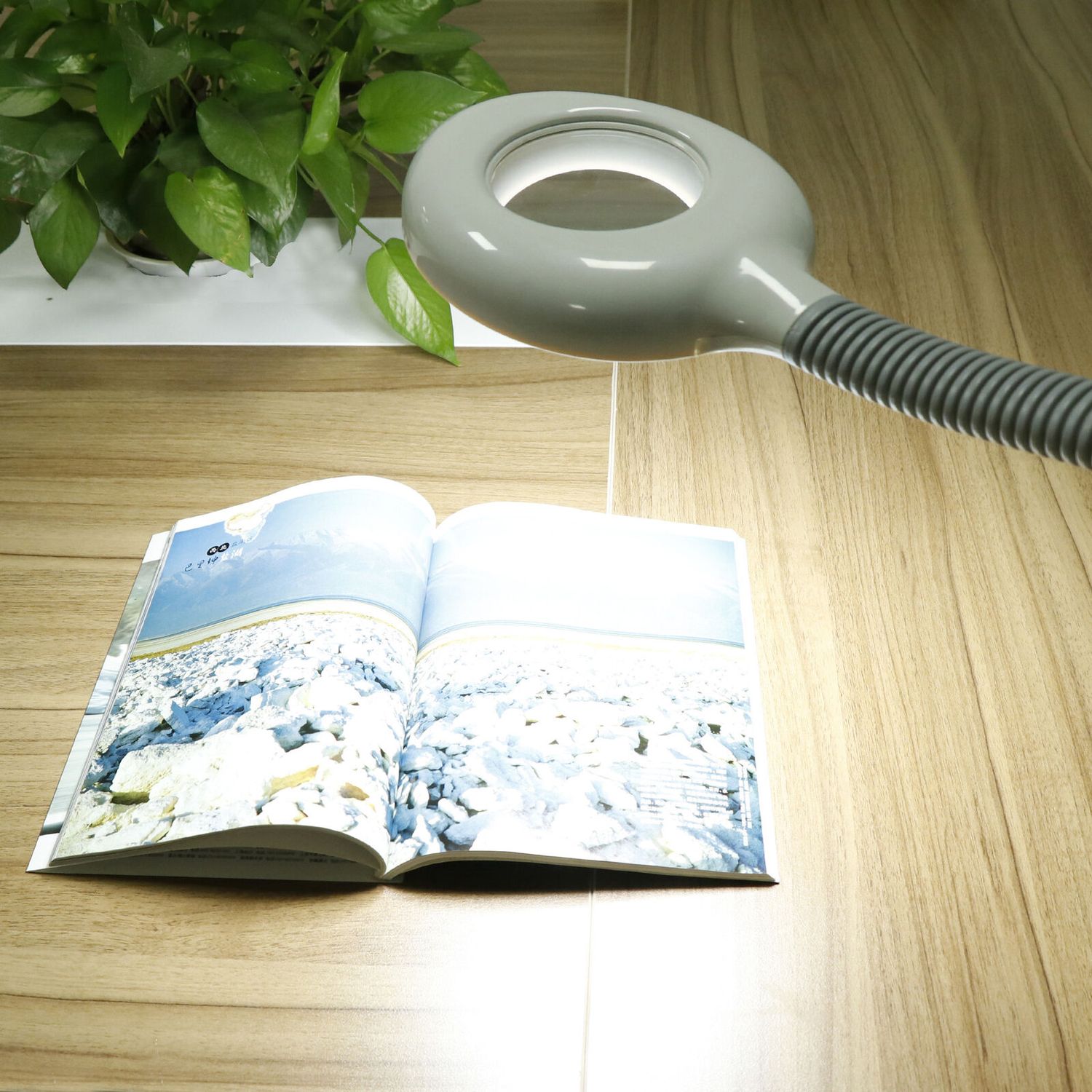Professional Facial Steamer 2 in 1 Facial Steamer  5X LED Magnifying Lamp