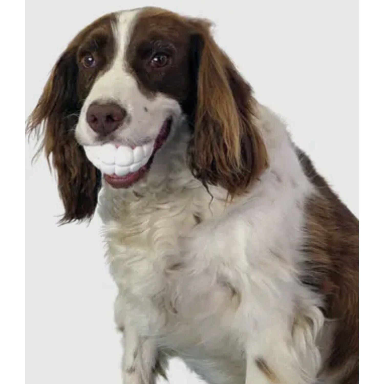 HUMUNGA Teeth Bling Funny Teeth Rubber Pet Dog Toy Fetch Ball Medium/Large