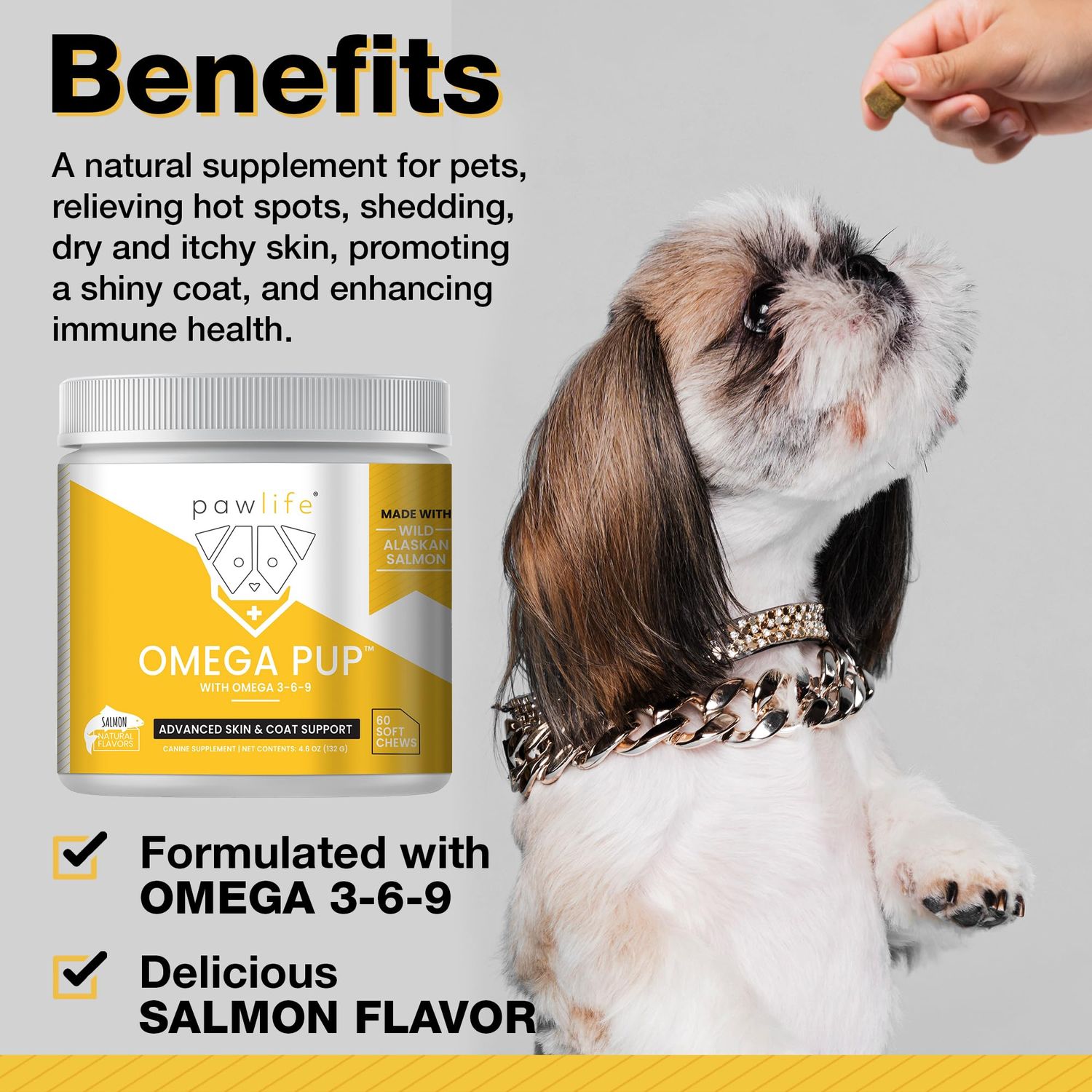 Pawlife Dog Fish Oil Supplements - 60 Omega 3 Fish Oil Dog Vitamins, Veterinarian Formulated Itching Relief for Dogs, Natural Omega 3 Fish Oil for Dogs, Dog Skin and Coat Supplement (Salmon Flavor)