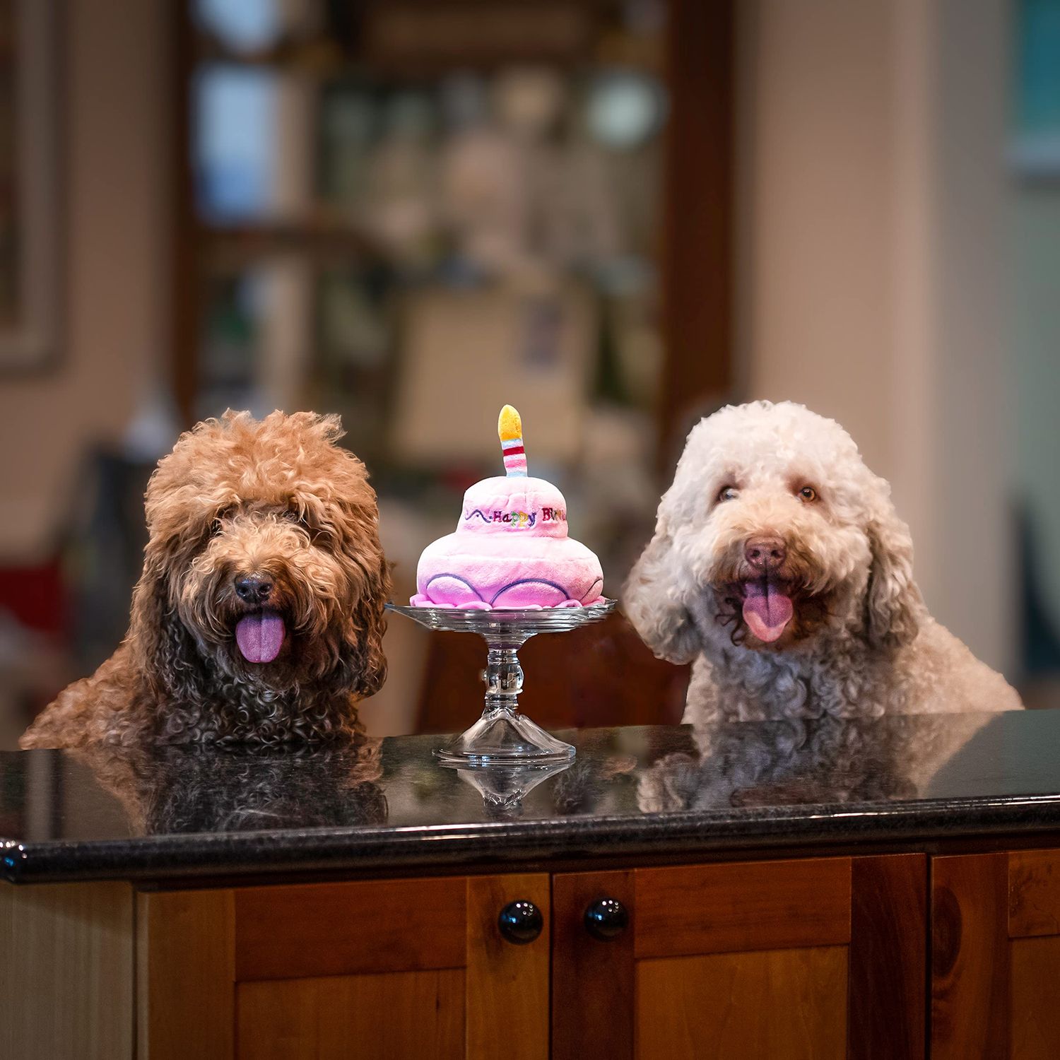 Midlee 2 Layer Birthday Cake 7" Tall Dog Toy (Pink)