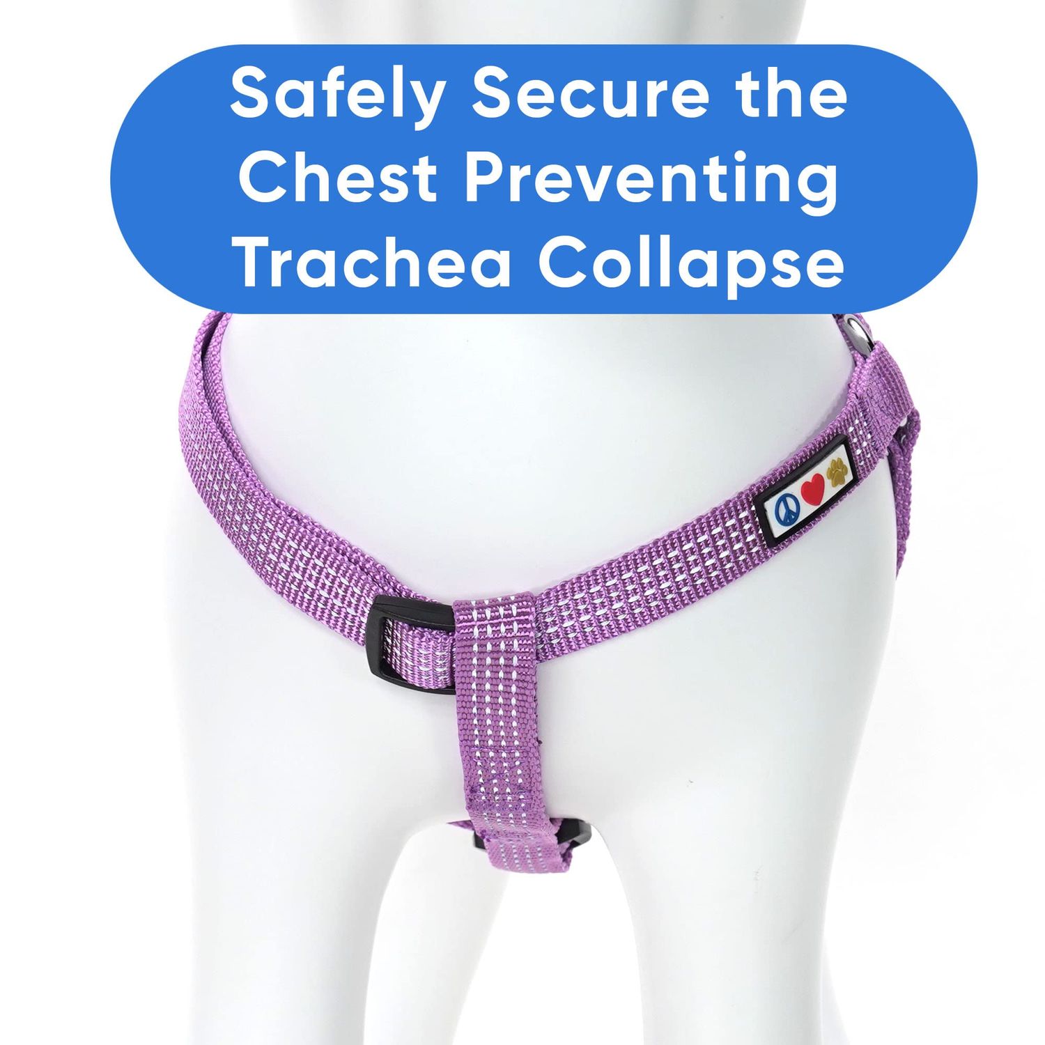 Pawtitas Reflective Step in Dog Harness or Reflective Vest Harness, Comfort Control, Training Walking of Your Puppy/Dog Large Dog Harness L Purple Orchid Dog Harness