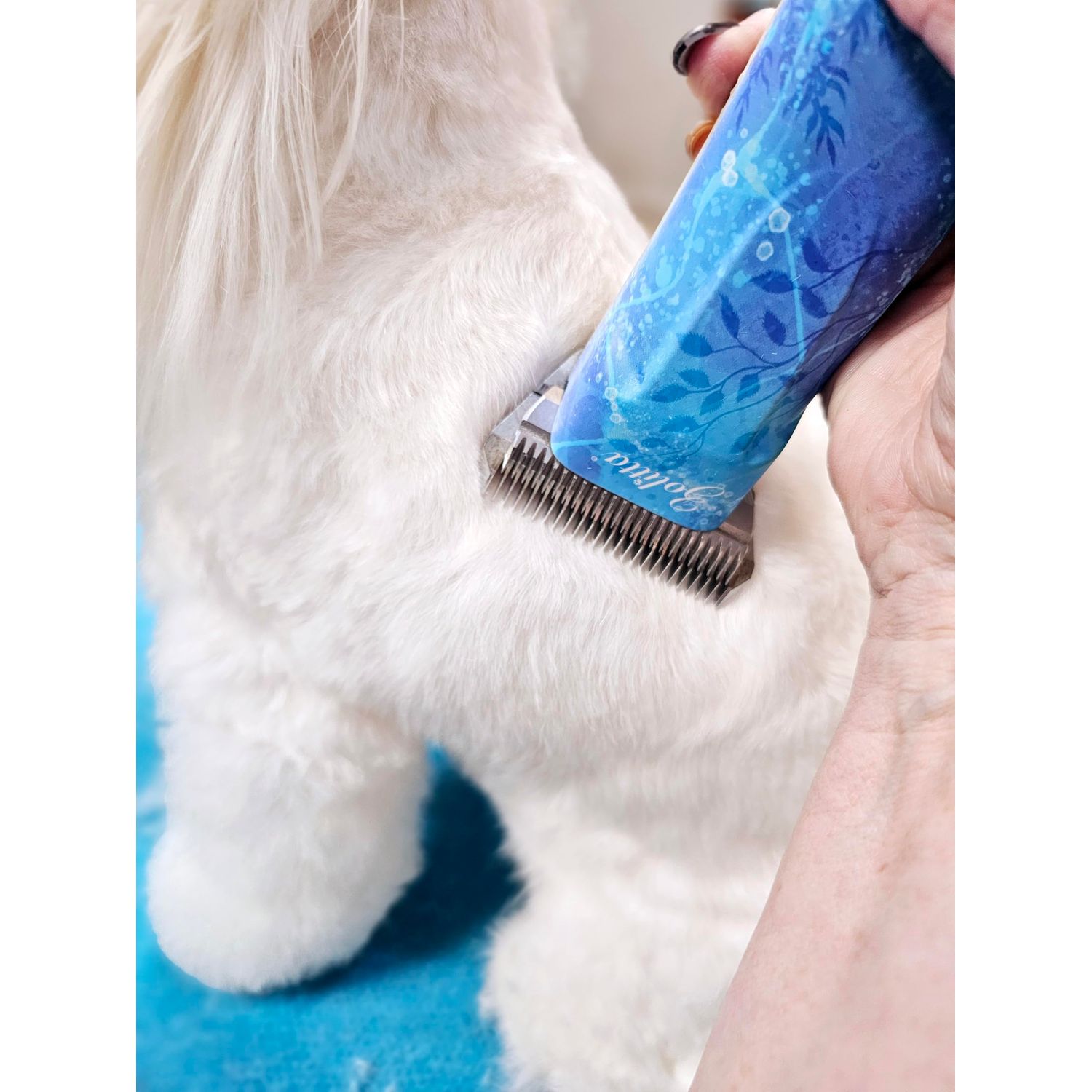 ZOLITTA Premium Professional Pet Dog Grooming Wide Clipper Blade 4FW, Grooming Clipper Blade, Grooming Wide Blade, A5 Type Blade, Dog Grooming Wide Blade, Cat Grooming Wide Blade