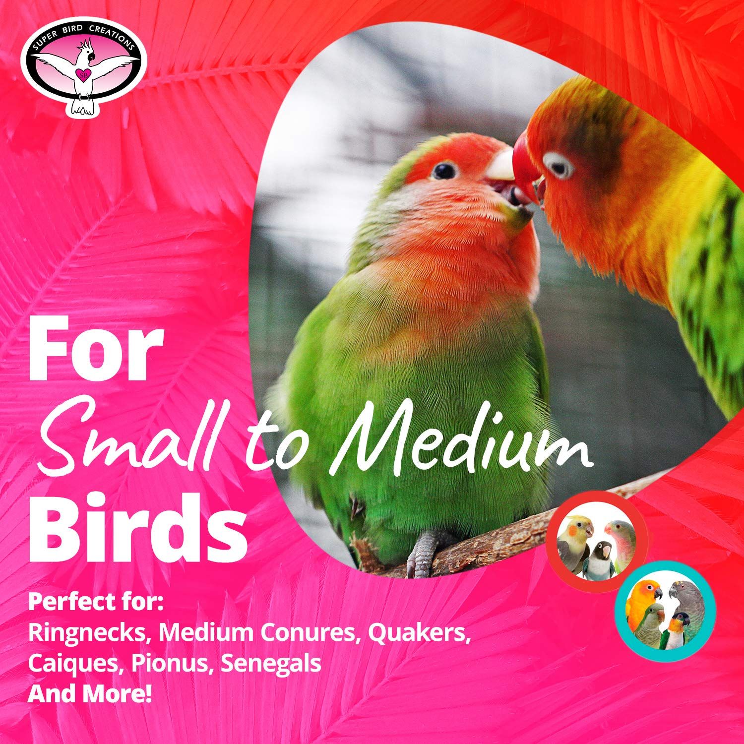 Super Bird Creations SB949 Foraging Bird Toy - Ideal for Small to Medium Birds - Fun & Entertaining Bird Toy - Pickin’ Pocket Design - Bird Safe Component - 5” x 3” x 7.5”