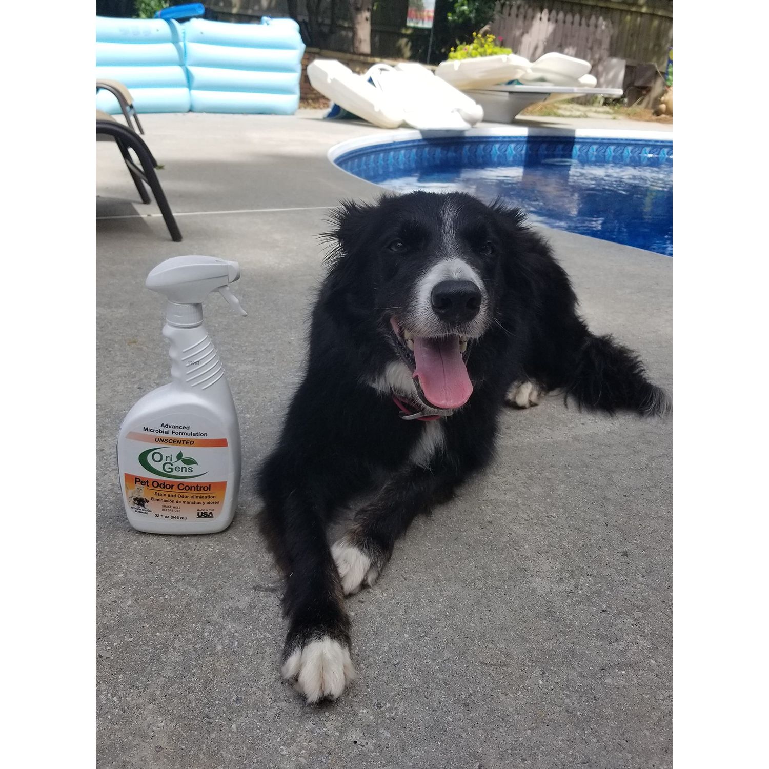 Origens Pet Odor Eliminator Unscented 32 oz. for strong odors Dog or Cat Urine Smells on Carpet, Furniture or Floors