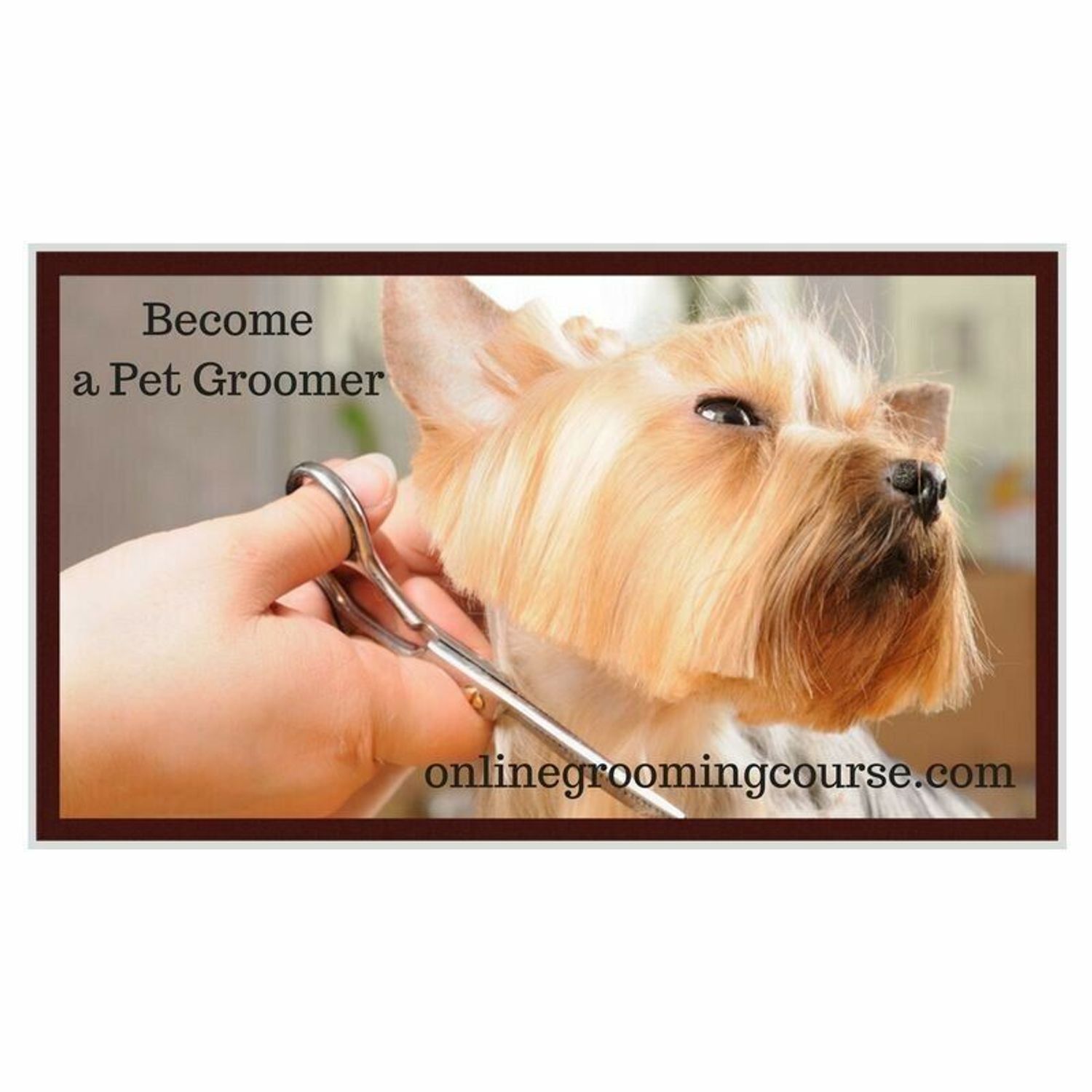 Pet Grooming School, Dog Grooming School, Groom Certification, Dog Grooming