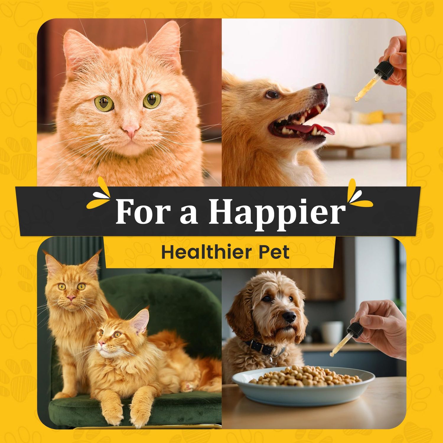 Glucosamine Liquid for Dogs & Cats - Joint Supplement for Dogs & Cats - Joint Supplement with Chondroitin, MSM, Hyaluronic Acid, Biotin, Collagen Peptides & Taurine - Max Potency for Hip & Joint Care.