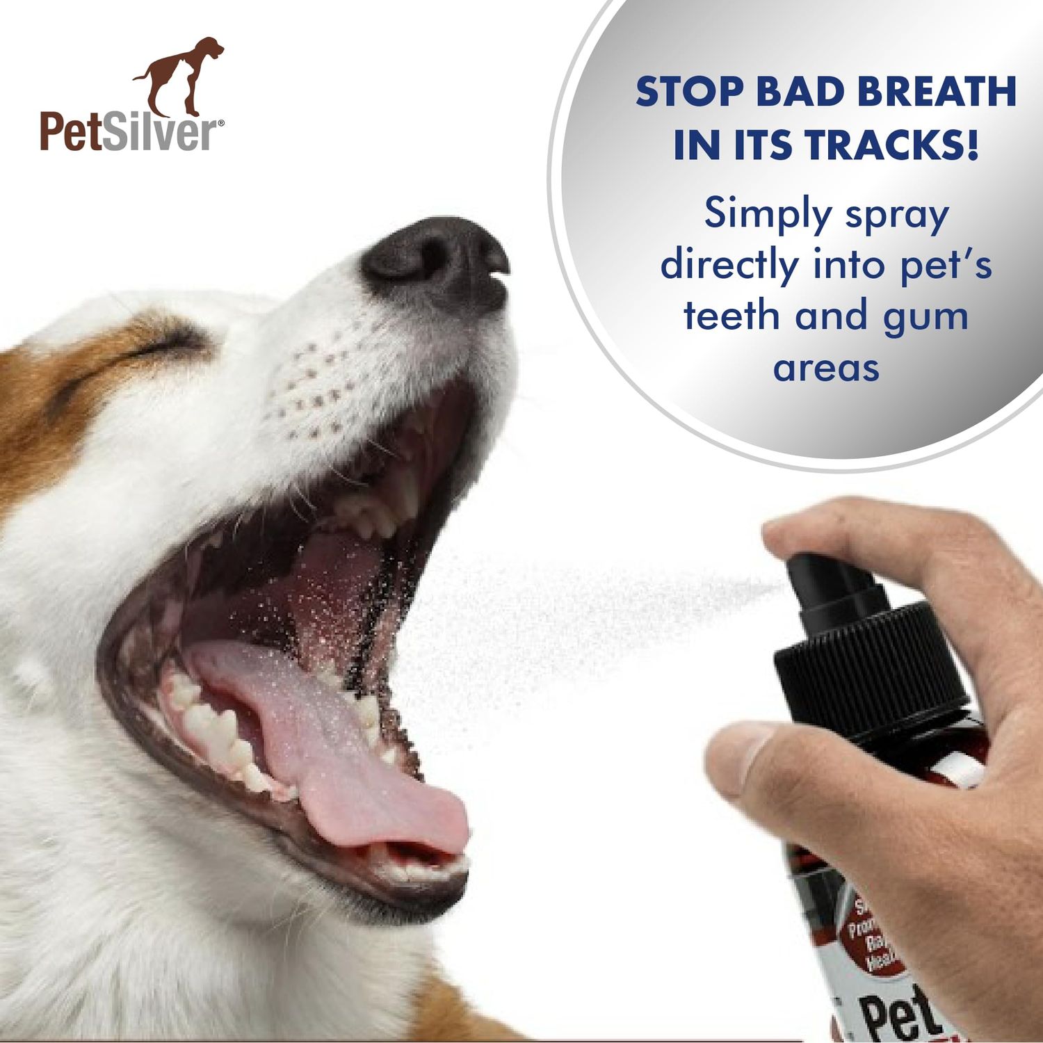 PetSilver Teeth & Gum Spray, Chelated Silver, Natural Dog Breath Freshener, Cat and Dog Dental Cleaning Without Brushing, Targets Tartar and Plaque, Dog Dental Spray, Easy Spray, USA, 2-Pack 4 oz.