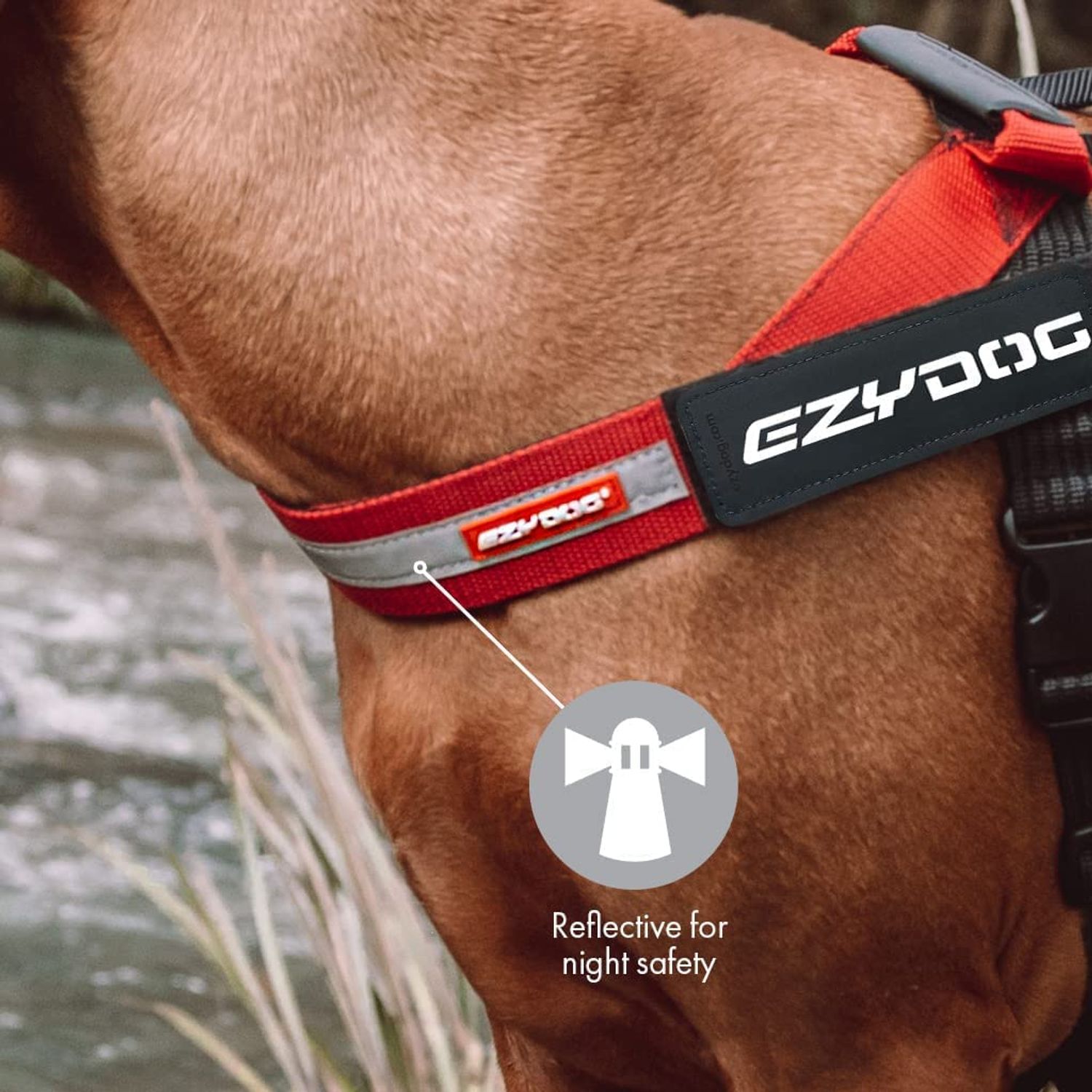 EZYDOG Express Dog Harness | Dog Harness for Small, Medium and Large Dogs, Angled Ergonomic Design, Moulded Grip Handle, Easy Release Side Buckle (L, Purple)