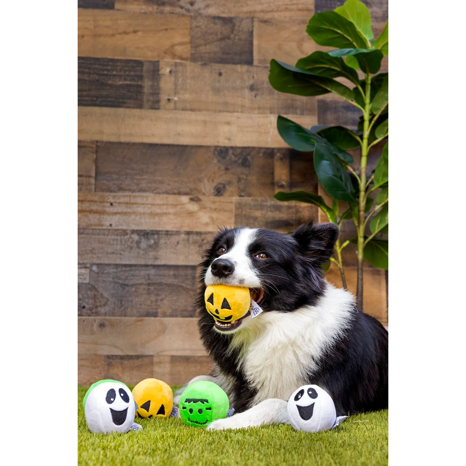 Midlee Silly Face Halloween Balls Plush Dog Toy