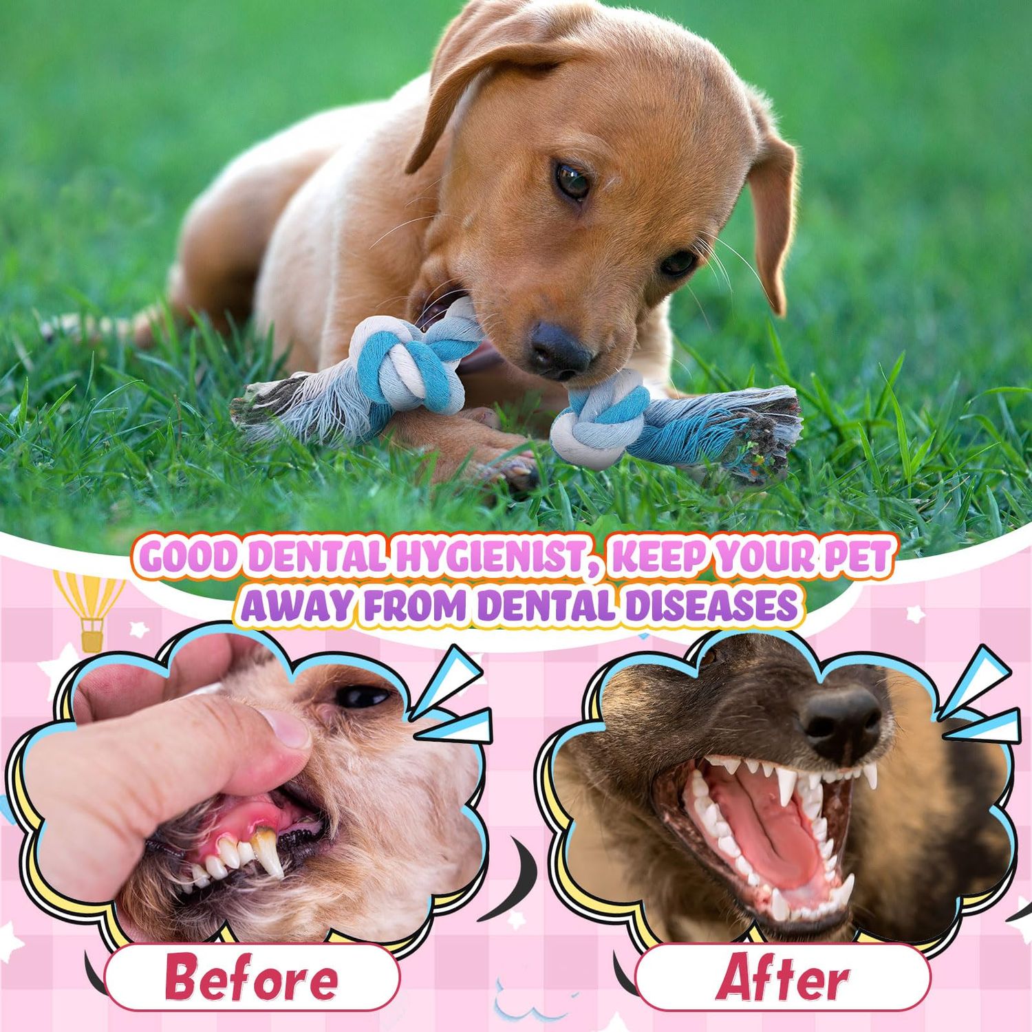 Paterr 12 Pcs Rope Dog Toys Multi Color Puppy Rope Toy Cotton Puppy Toys Dog Chew Rope Puppy Teething Toys for Small and Medium Dogs Puppies