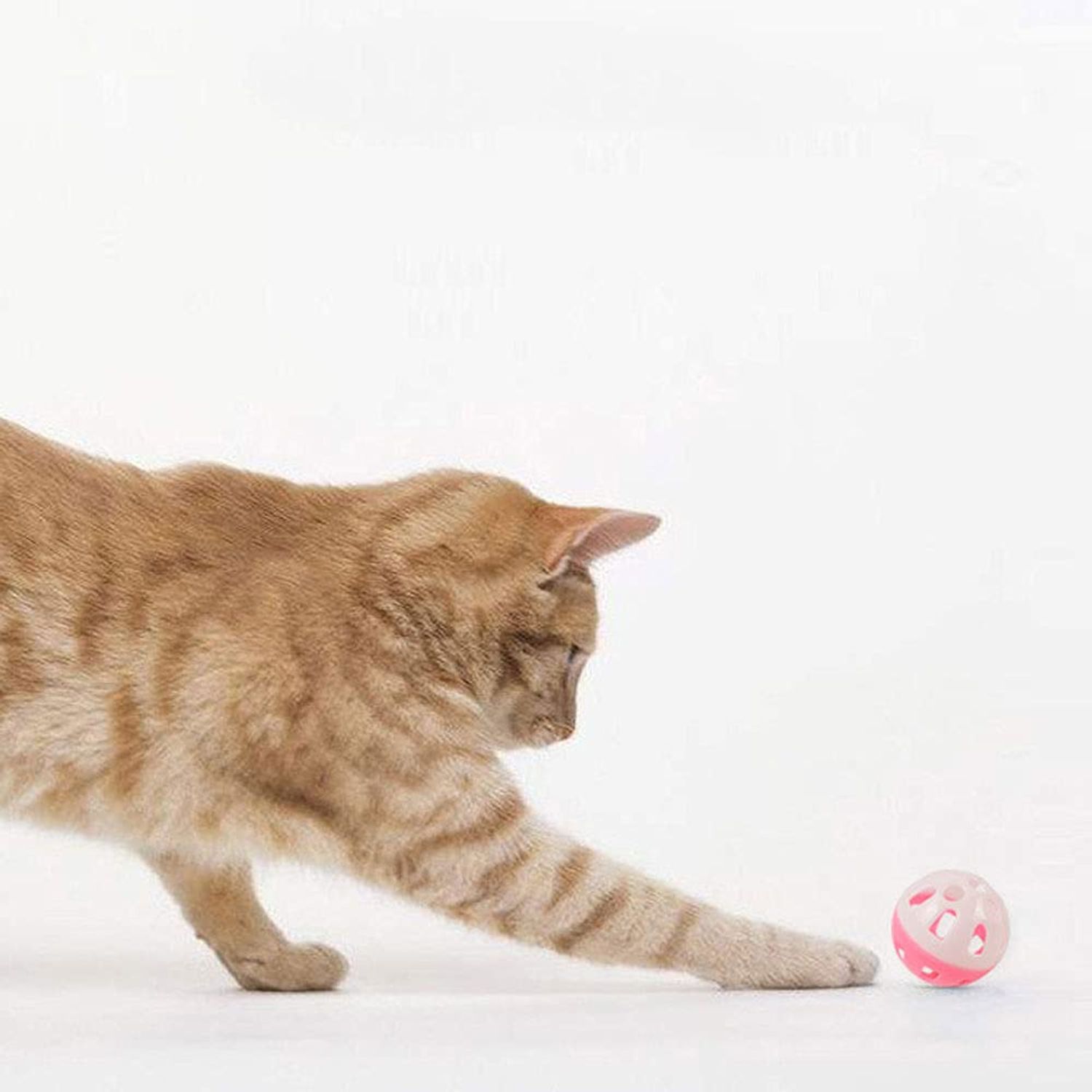 VOVIGGOL 12PCS 4CM Cat Toy Ball with Bell, Pet Toy Cat Bell Ball Cat Toy with Bell Cat Jingle Balls for Cats Kitten, Plastic Cat Toys Jingle Balls Pounce Chase Rattle Ball Toys Random Color