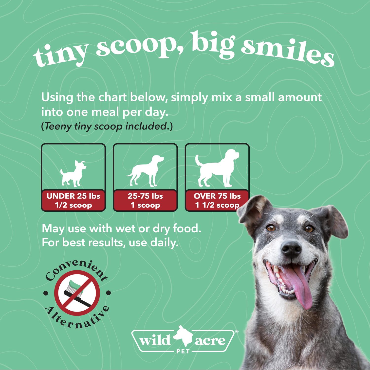 Wild Acre Dental Powder for Dogs - Dog Breath Freshener Dental Powder for Teeth Cleaning Plaque Off, Dental Care for Dogs, Tartar Remover for Teeth - Fresh Breath Probiotics