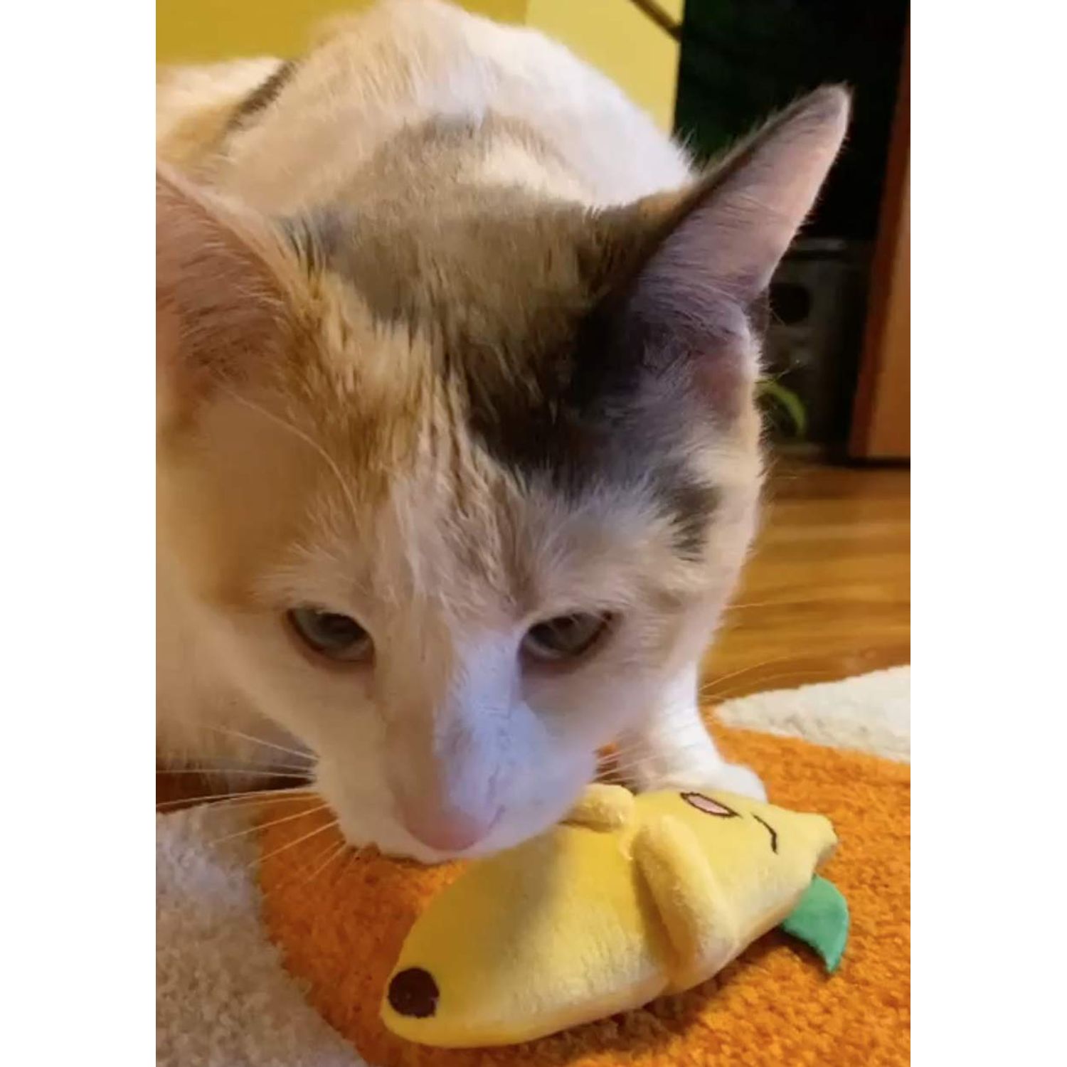 Smokey's Stash Catnip Filled Banana, Avocado, and Smokey Cat Toys with Sisal Mouse and Ball for Cats