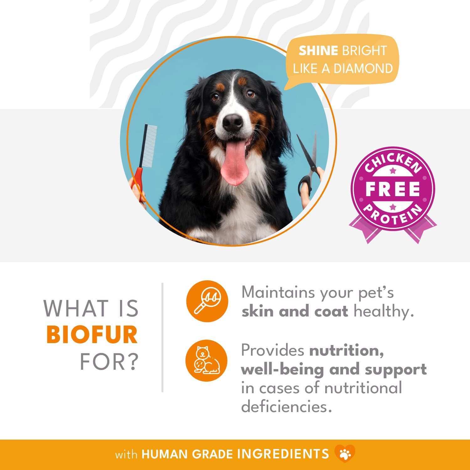 Natural Pet by FNL BIOFUR: Omega 3 Supplement for Cats & Dogs - Puppy Essentials & Dog Allergy Relief - Vitamins, Minerals for Feline & Canine Skin, Coat Health, Nutrition, Well-Being, Orange