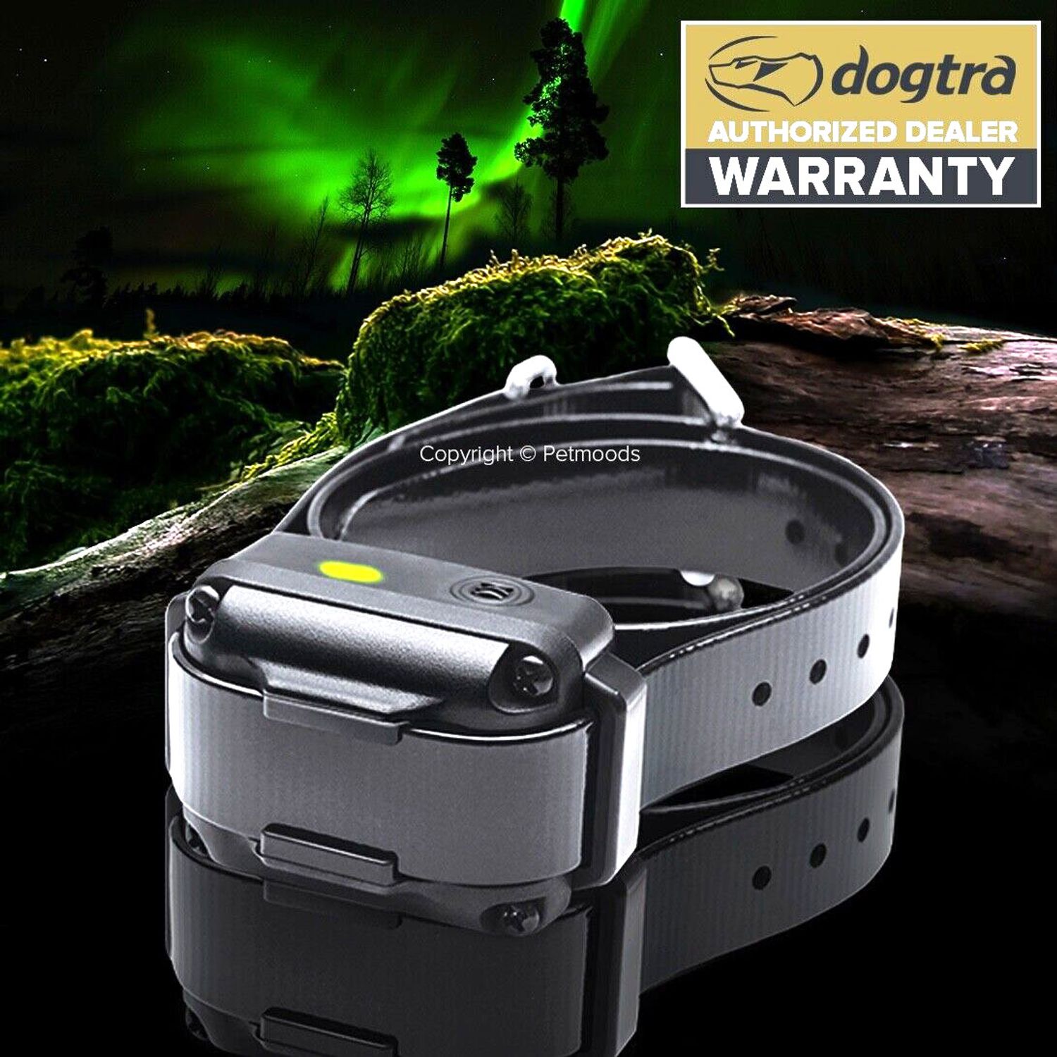 Dogtra iQ Vibe Vibration Only No Bark Dog Collar Rechargeable Waterproof