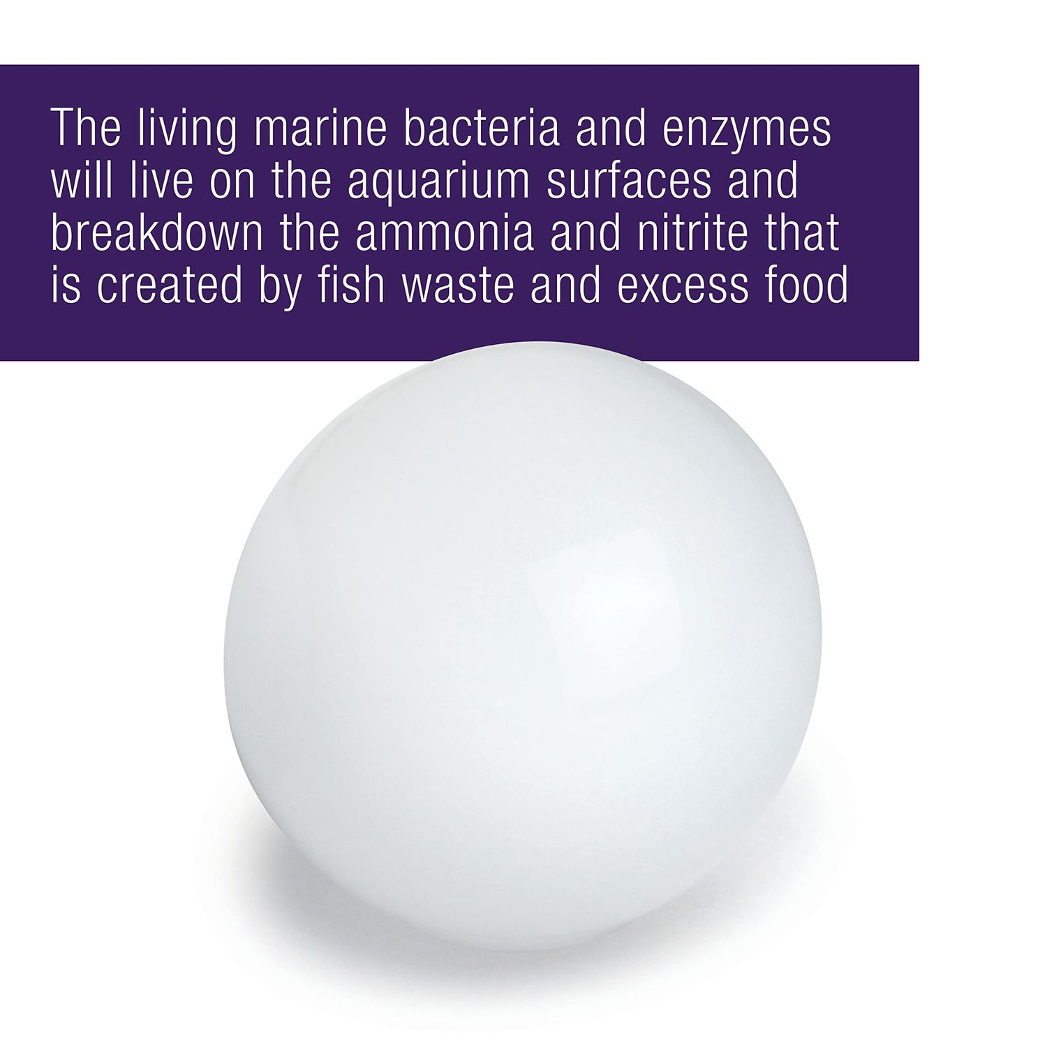 Coralife Aquarium Fish Tank Marine Salt Water PURE Water Care Bacteria Supplement, 4 pack