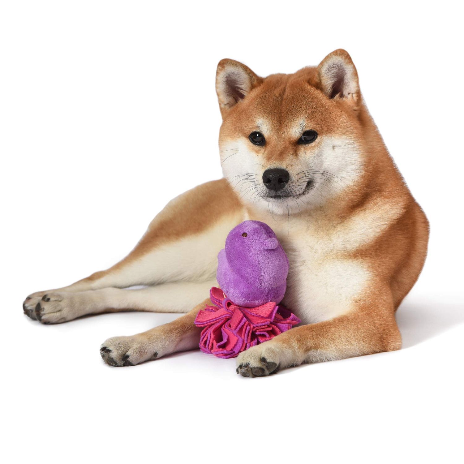 Peeps for Pets Plush Chick Fleece Bottom Dog Toy in Purple and Pink Purple Peeps Chick Dog Toys, Small Plush Dog Toys with Squeaker Soft and Squeaky Dog Toy for Pets
