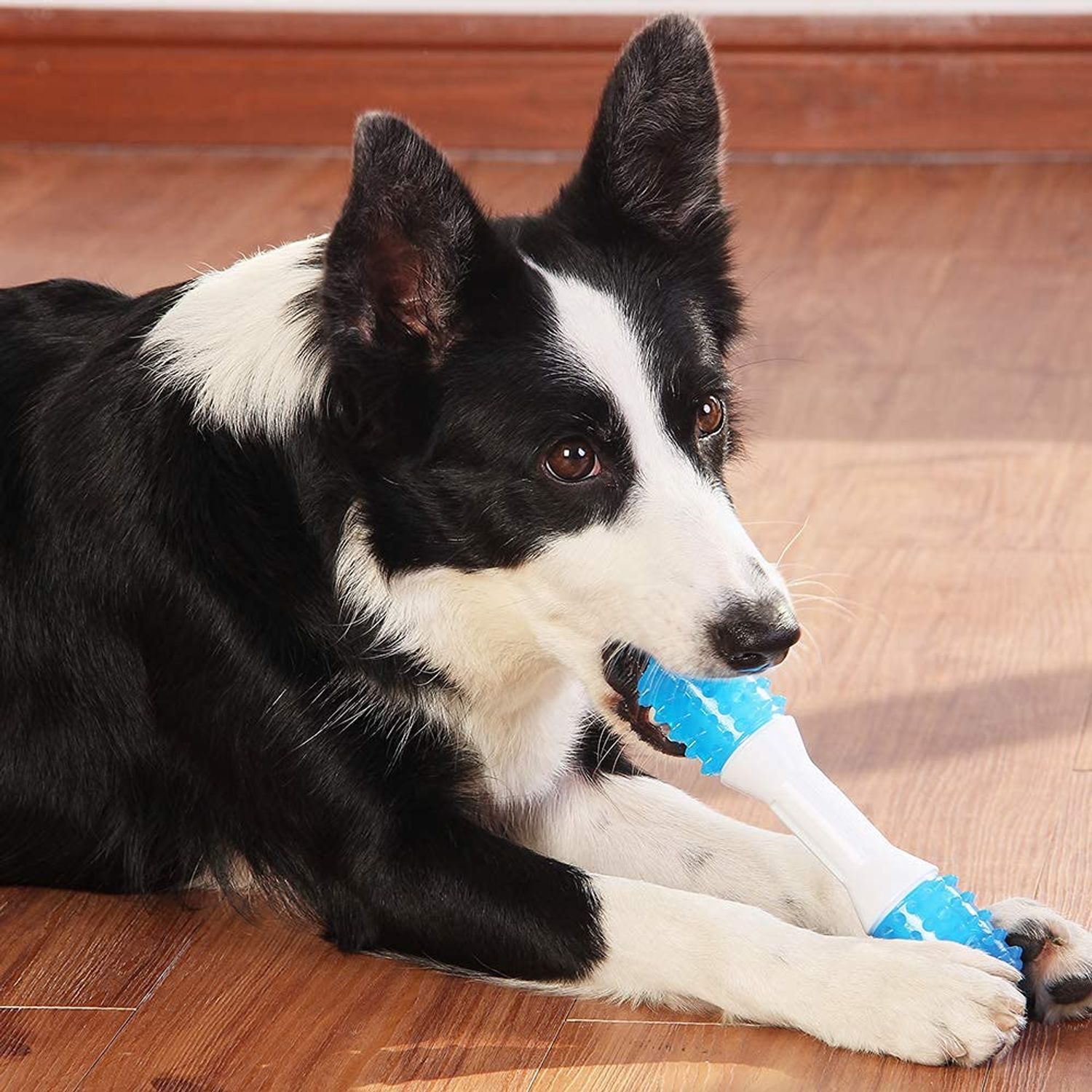 ONTWOPETS Puppy Teething Chew Toys up to 88 Lbs Dog Dental Chew Toys for Gentle Chewers Promotes Dental Health Reduces Teething Discomfort Boredom Freshen Breath Made W/PU Rubber 7 Inches