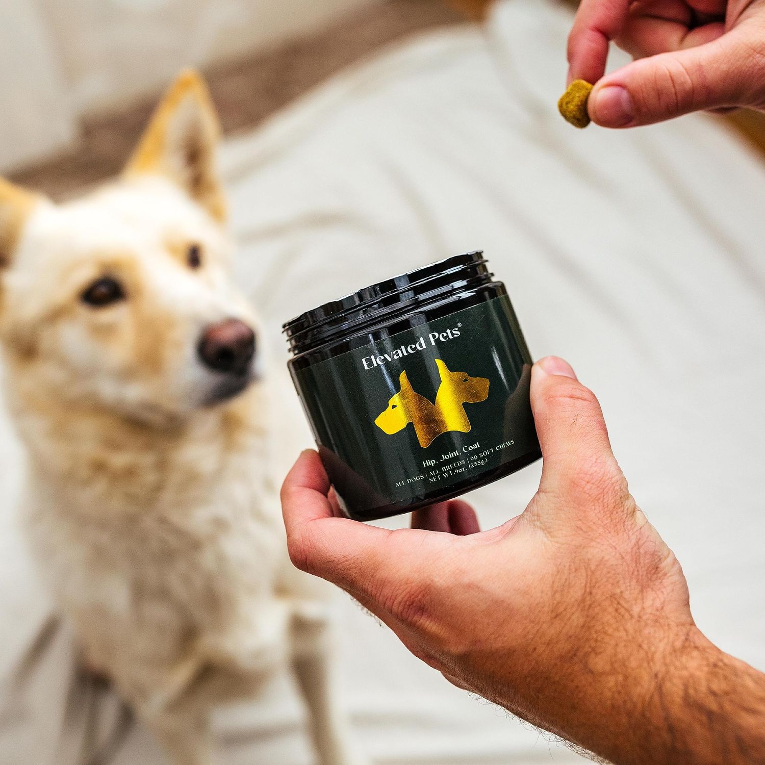 Ultra-Healthy Omega 3 Fish Oil Treats w/MSM, Glucosamine, Chondroitin, EPA/DHA for Dogs: Elevated Pets Fish Oil, Turmeric & Joint Supplement + Allergy Chews - Ultimate Dog Vitamin Supplement