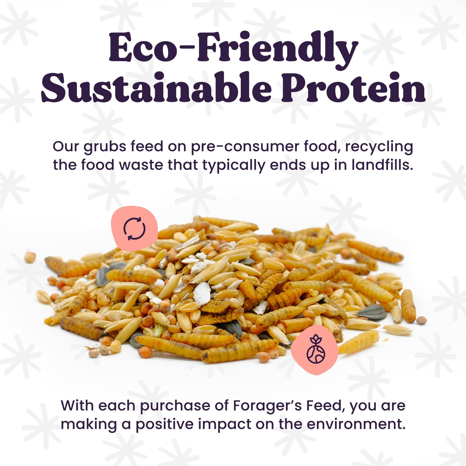 Foragers Feed Sustainable Insect Protein Dog Treat for Canine Health, Pumpkin and Goji Berry Flavor, 6 Oz. Resealable Bag
