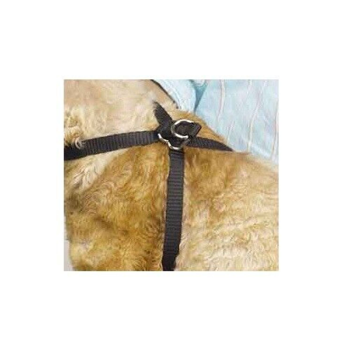 Black Nylon Adjustable Cat Harness 40" Secure Pet Restraint Easy Snap Closure