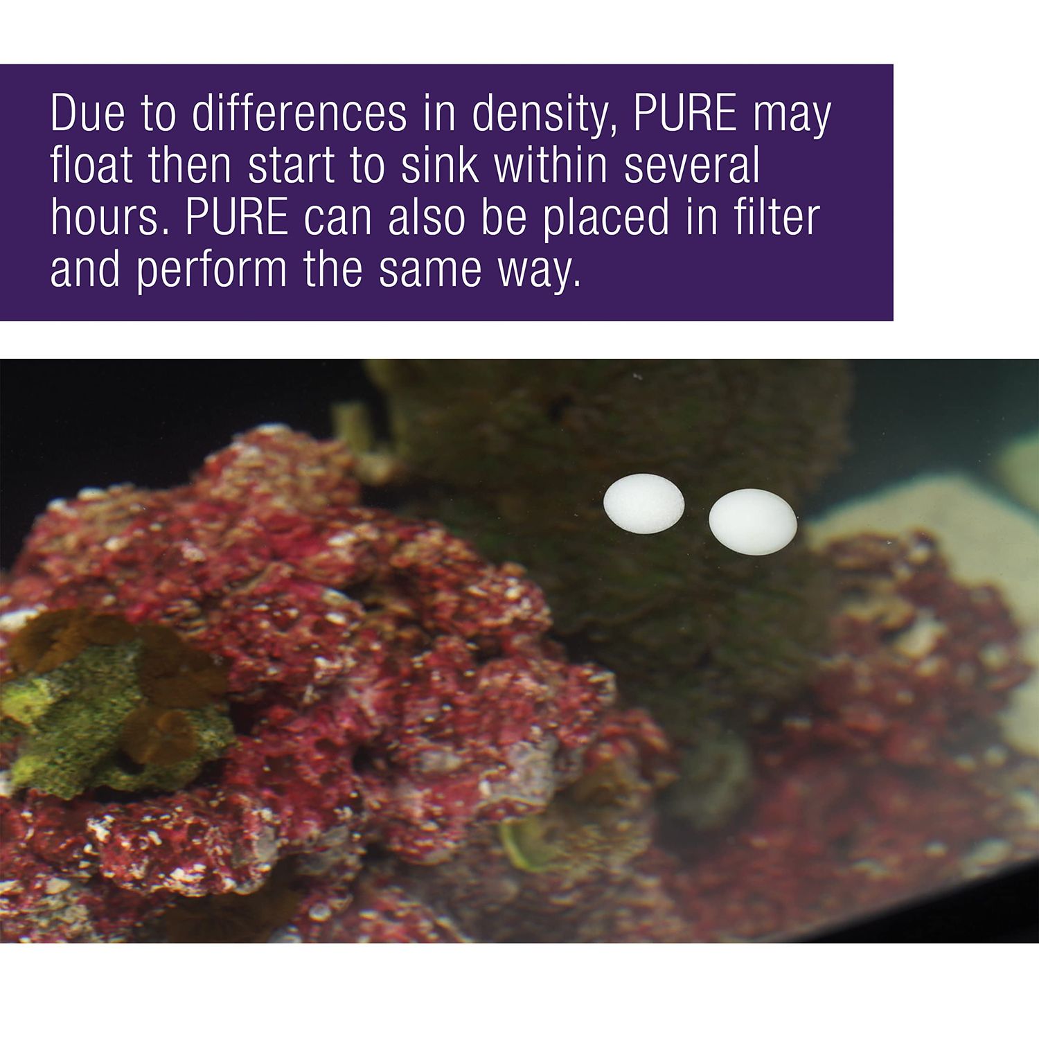 Coralife Aquarium Fish Tank Marine Salt Water PURE Water Care Bacteria Supplement, 4 pack