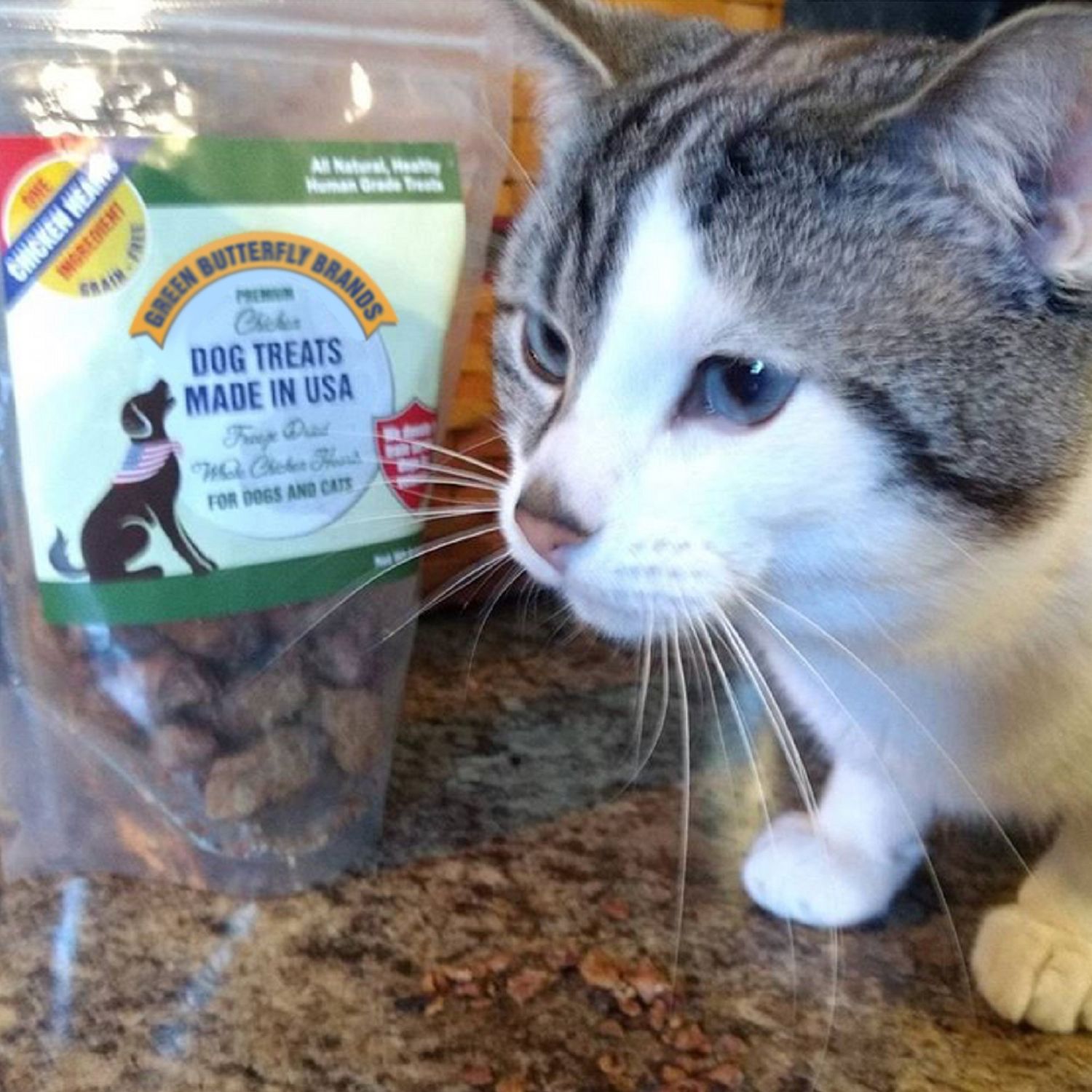 Green Butterfly Brands Freeze Dried Chicken Heart Dog Treats Made In USA. All Natural Freeze-Dried Raw Snacks for Dogs and Cats. One Ingredient. High Protein. Heart Health. Irresistible Training Treat