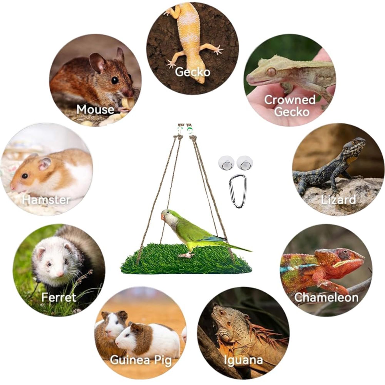 Bird Toys Hammock Swing Hanging Bed Portable Grass Pad Climbing Hanging Hammock for Reptile Bearded Dragon Leopard Gecko Lizard Hamster Iguana (Square)