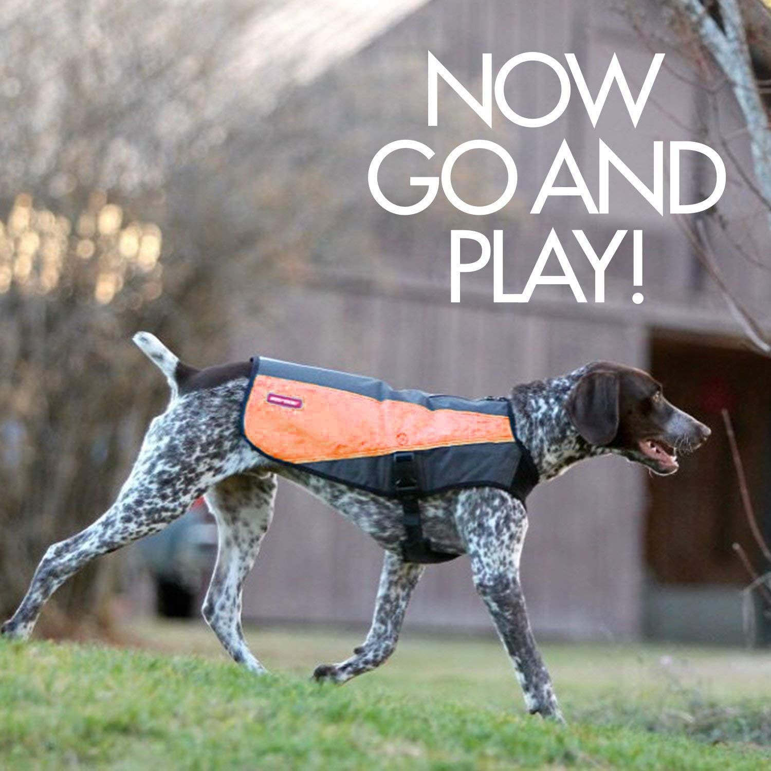 EzyDog Element Best Dog Jacket - Premium Wind and Waterproof Reflective Dog Coat for Safety and Protection - Provides Leash Access to Harness or Collar (Scarlett, Medium)