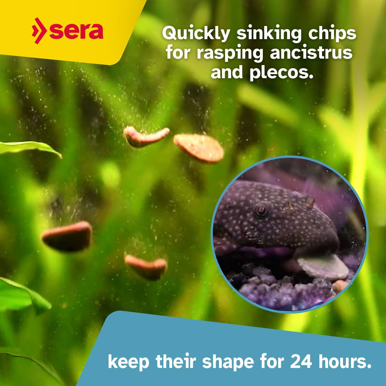 sera Catfish Chips Nature 13.4 oz./0.84lbs | Premium Fish Food for Ancistrus & Plecos | High Fiber | No Dyes & Preservatives | Supports Digestion & Promotes Healthy Growth | Ideal for Bottom Feeders