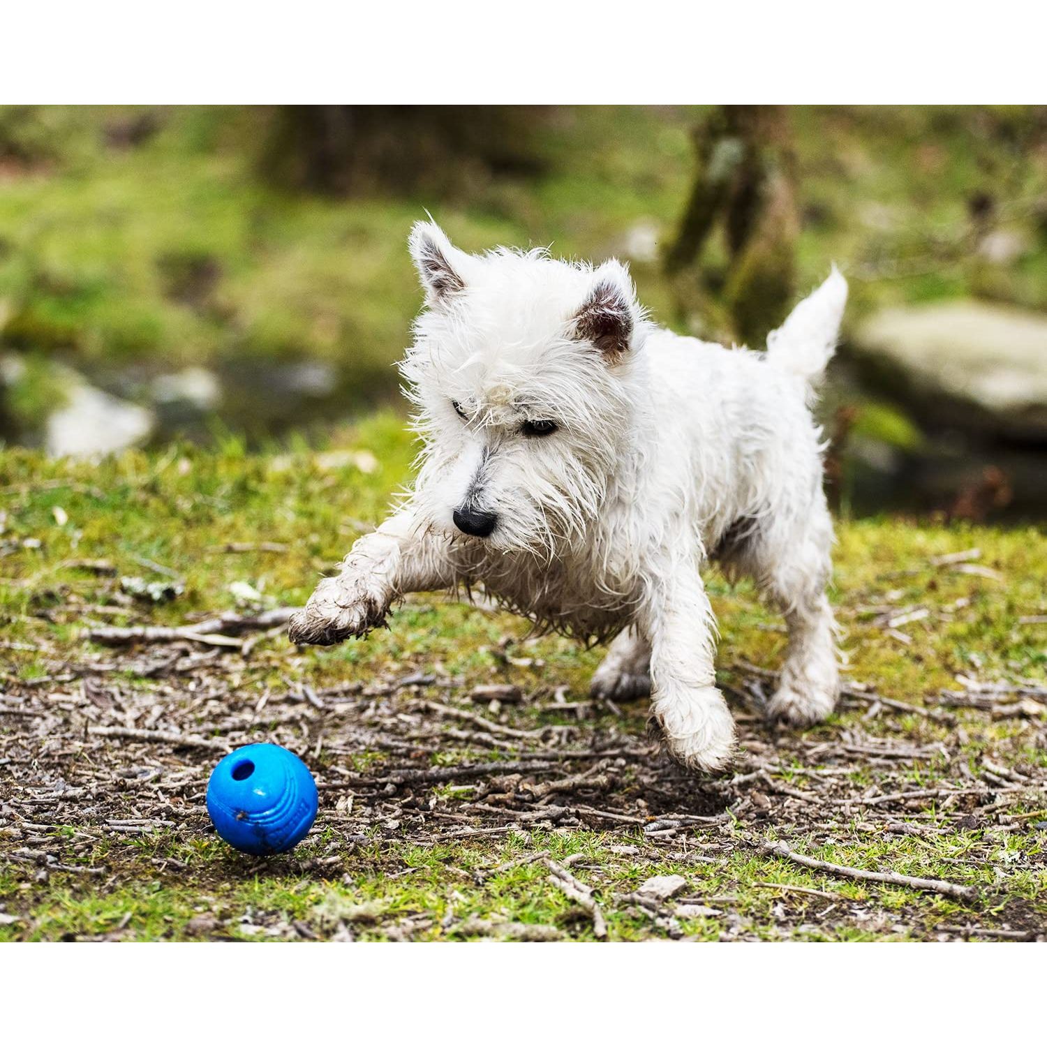 Chuckit! Crunch Ball Dog Toy, Medium (Pack of 2)