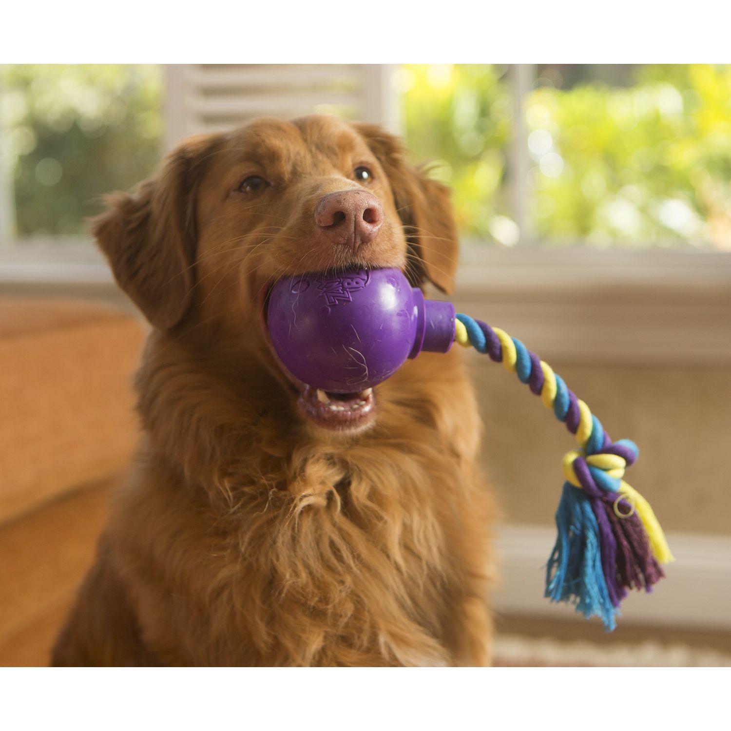 R2P Group Zany Bunch Rope Twister Electronic Dog Toy - Assorted Colors