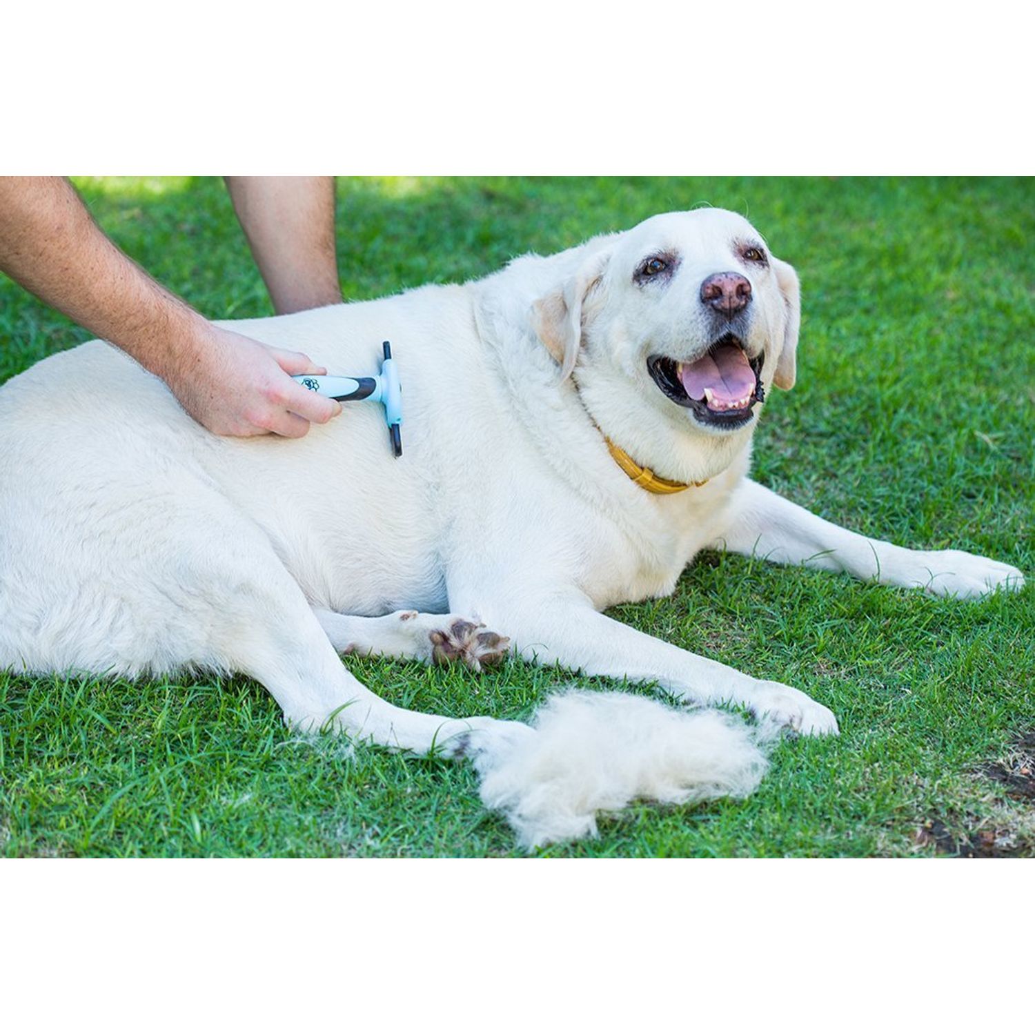 Pet Grooming Dog & Cat Brush For Shedding, Effective for Long & Short Hair Pet Grooming Tool, Reduces Dogs and Cats Shedding Hair By More Than 95%, The Professional Deshedding Tool