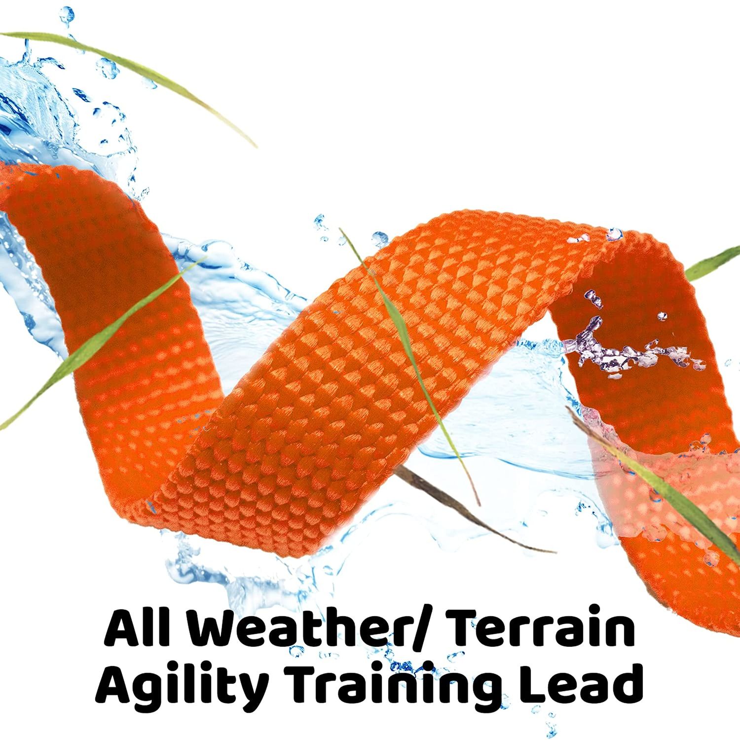 Downtown Pet Supply - Long Dog Leash - Dog Training Leash - Recall & Obedience Dog Training Tools - Nylon - 50 ft - Orange Dog Leash
