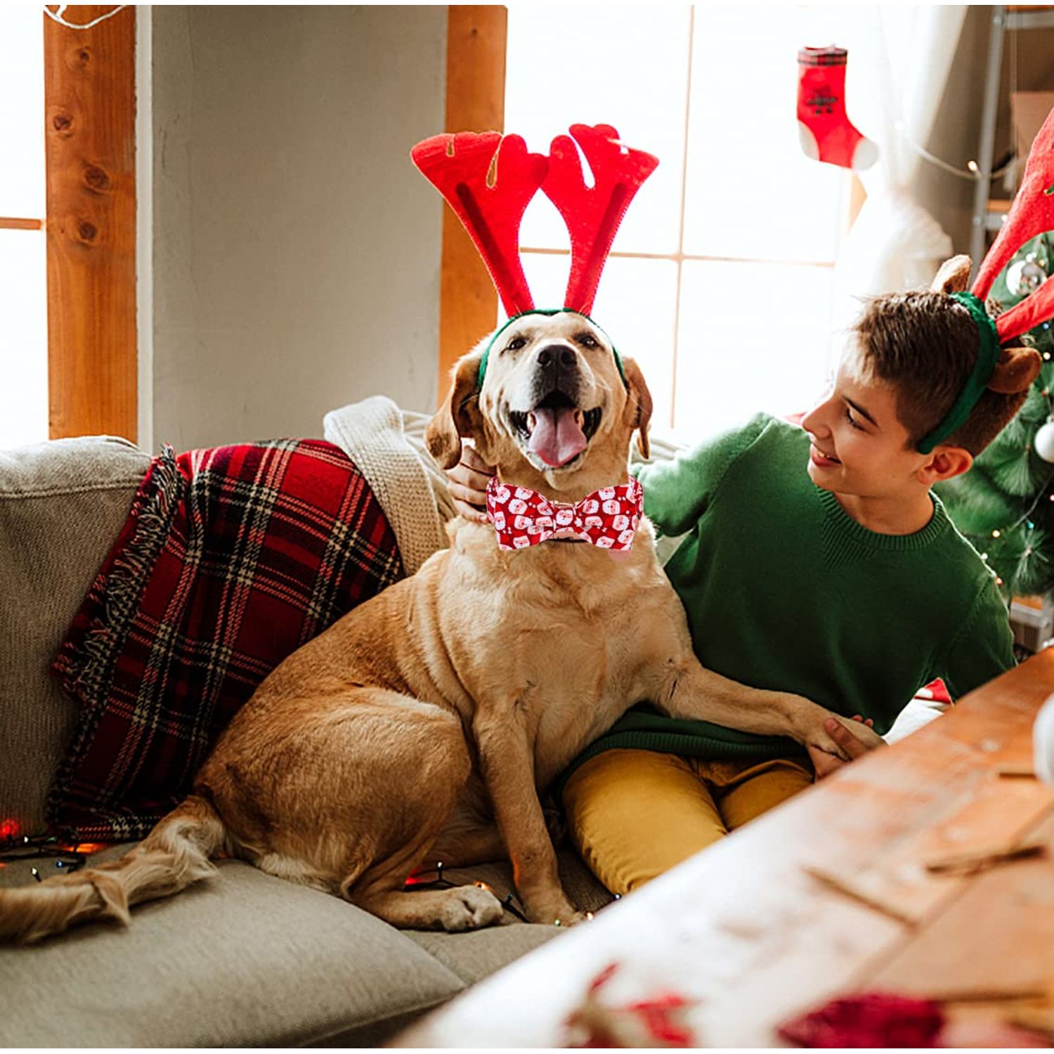 DOGWONG Christmas Dog Collar with Bow tie, Red Santa Claus Dog Collar Soft Durable Adjustable Cotton Puppy Collar for Small Medium Large Dog