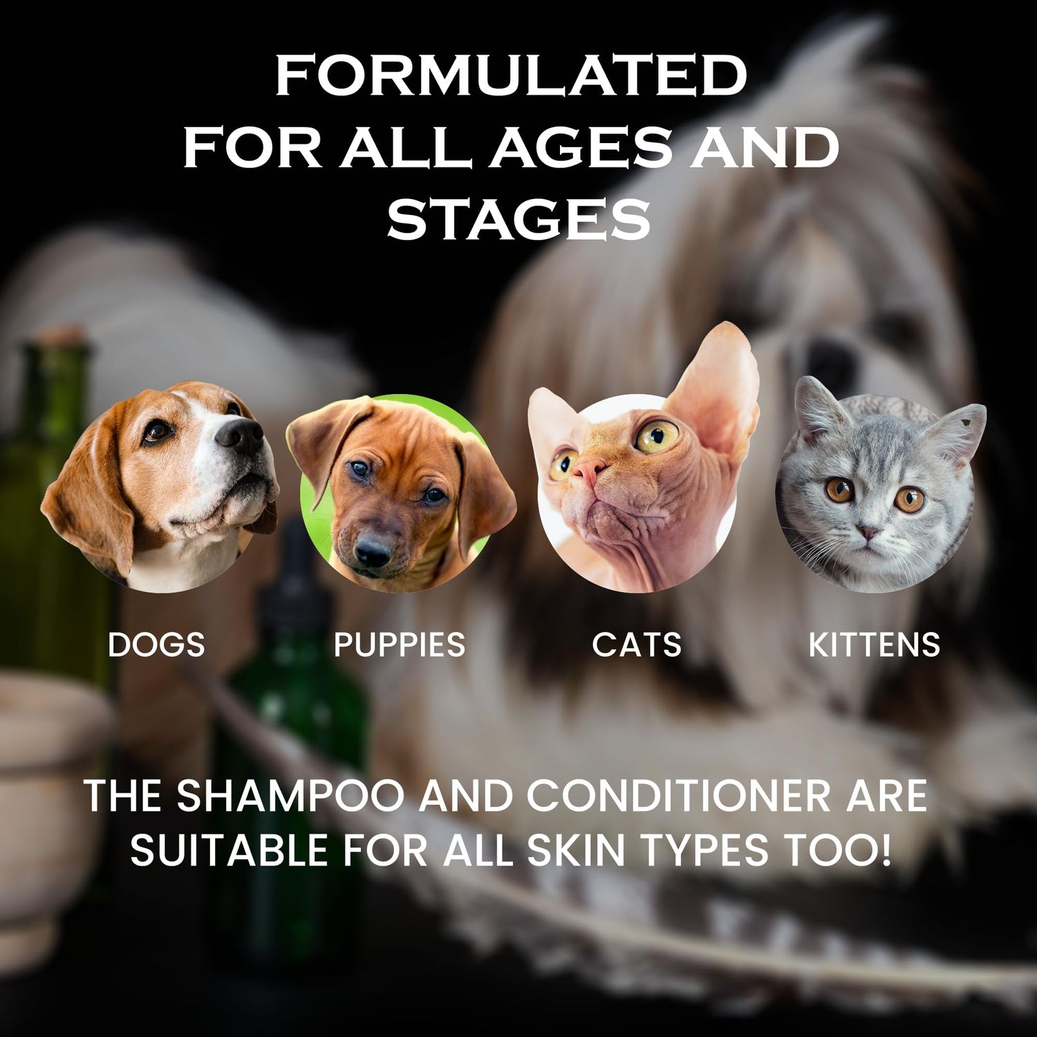 Oakwood Natural Aloe Vera Coat Conditioner & Tearless Oatmeal Shampoo Cleansing Wash for Pets - Hypoallergenic Pet Dog & Cat Grooming Supplies Set for Itching, Dry Skin, Detangling, Deodorizing