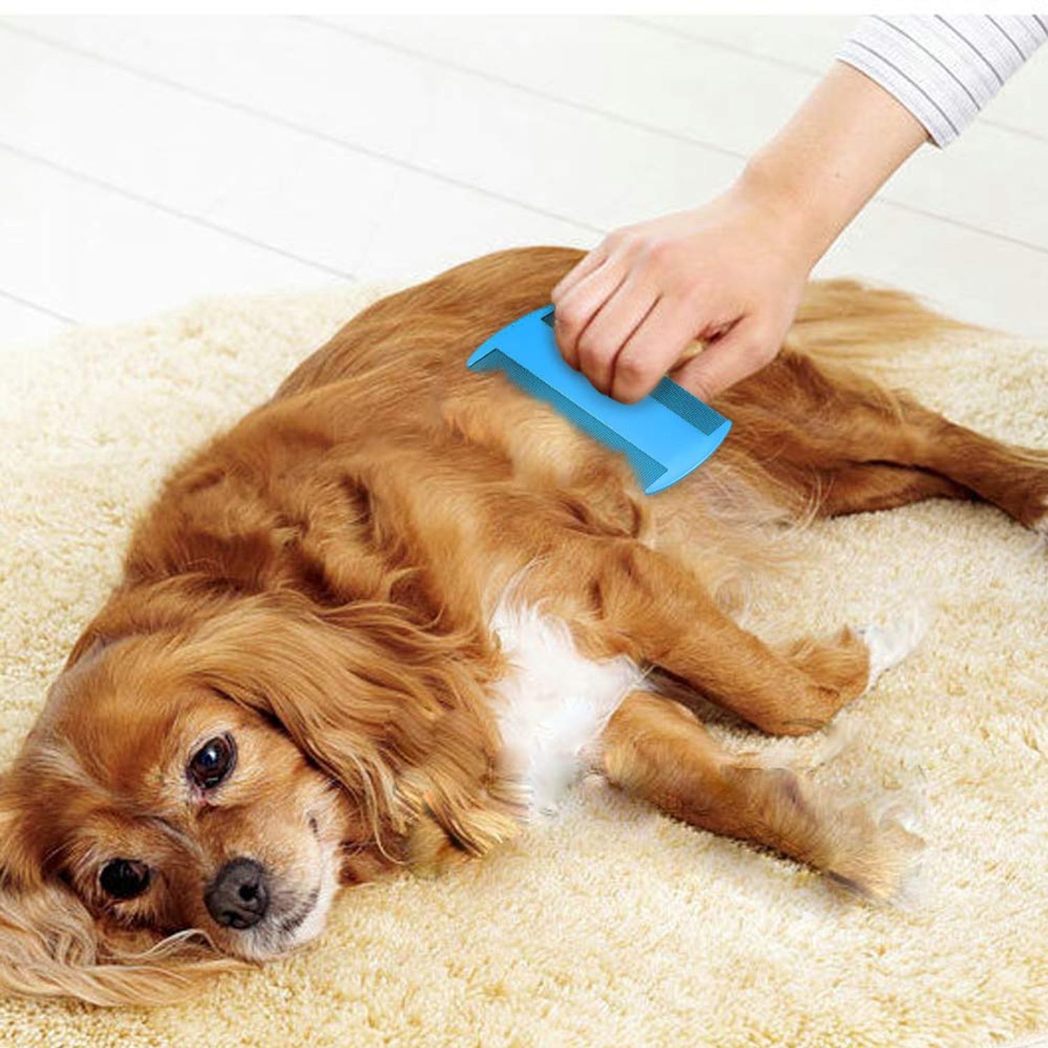 SKYPIA 4 Packs Flea Comb for Dogs Tick Comb Flea Comb for Cats Lice Comb Dandruff Comb Kitten Flea Comb Hair Lice Comb Fine Tooth Hair Combs for Puppy Flea Comb for Kitten Dog Grooming Comb