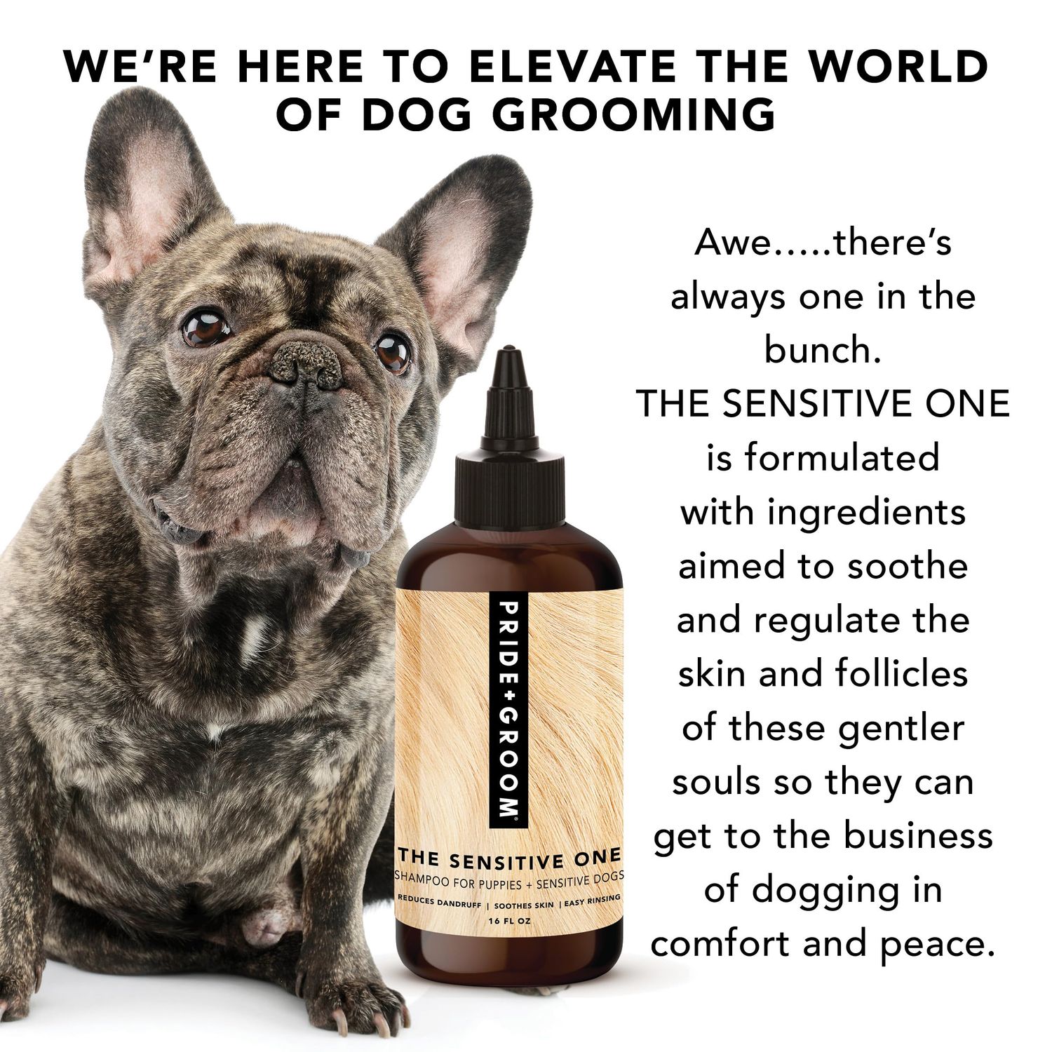 Pride and Groom The Sensitive One | Dog Grooming Shampoo for Puppies and Dogs with Itchy, Dry Skin| Tearless All Natural Body Wash with Essential Oils to Soothe Skin – 16oz (Pack of 2)