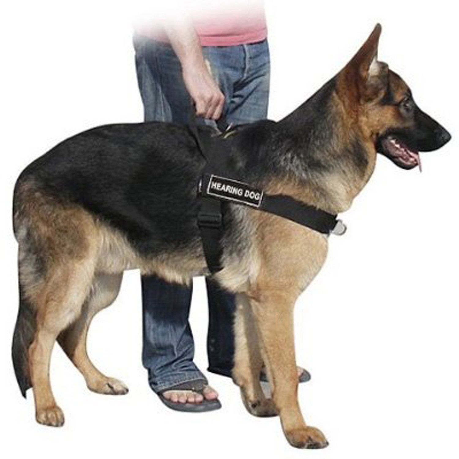 DT Universal No Pull Dog Harness, Hearing Dog, Black, X-Small, Fits Girth Size: 21-Inch to 25-Inch